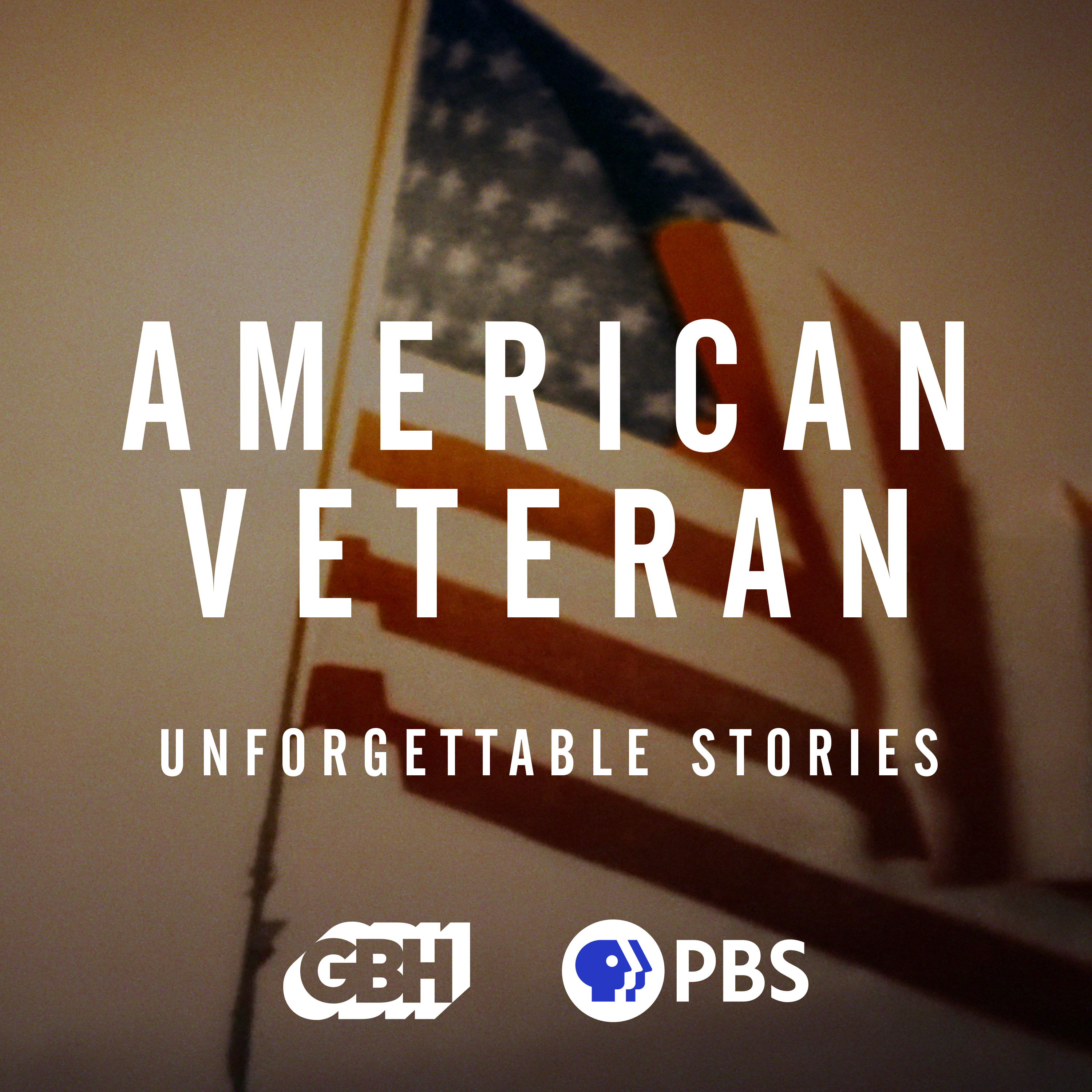 Welcome to American Veteran: Unforgettable Stories
