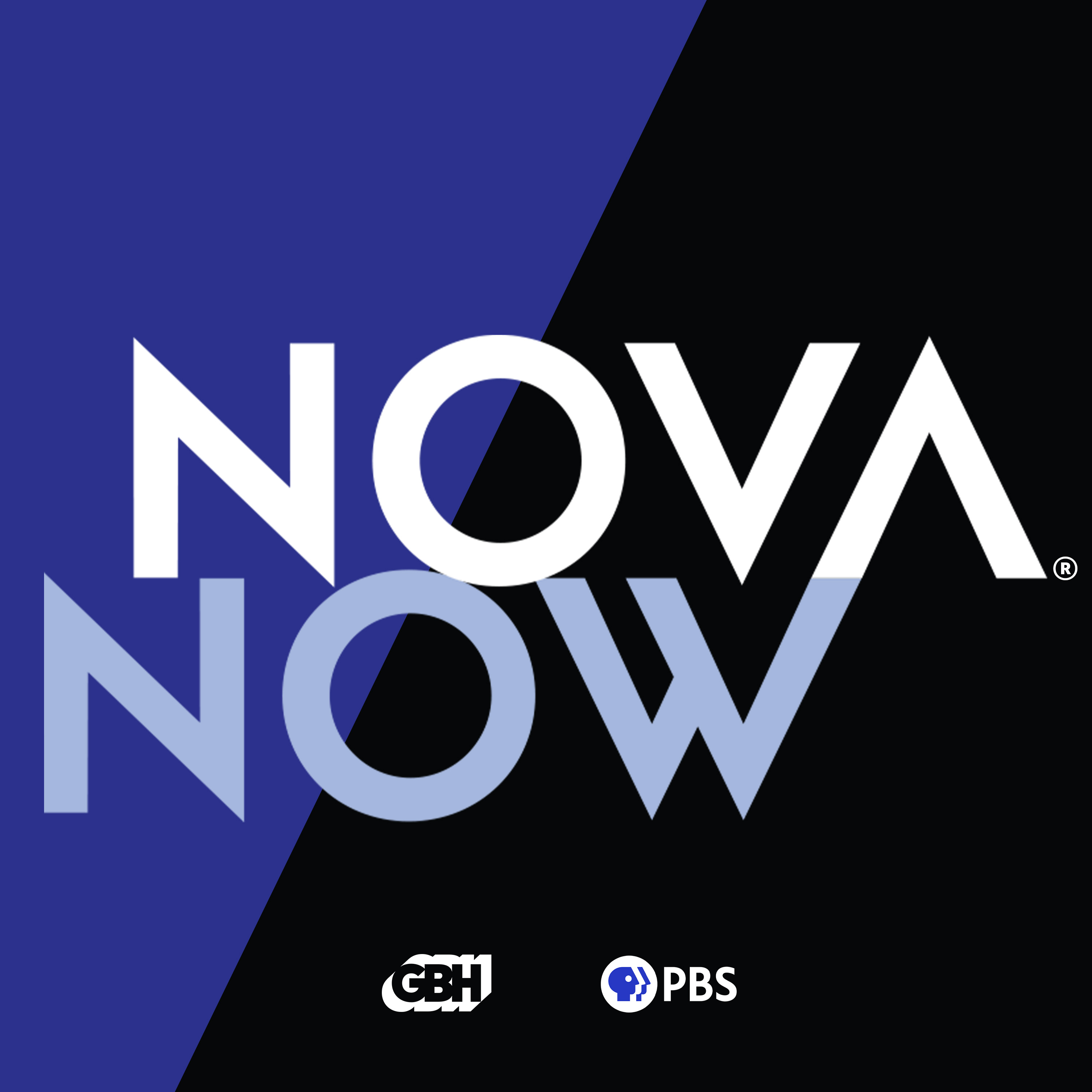 NOVA Now