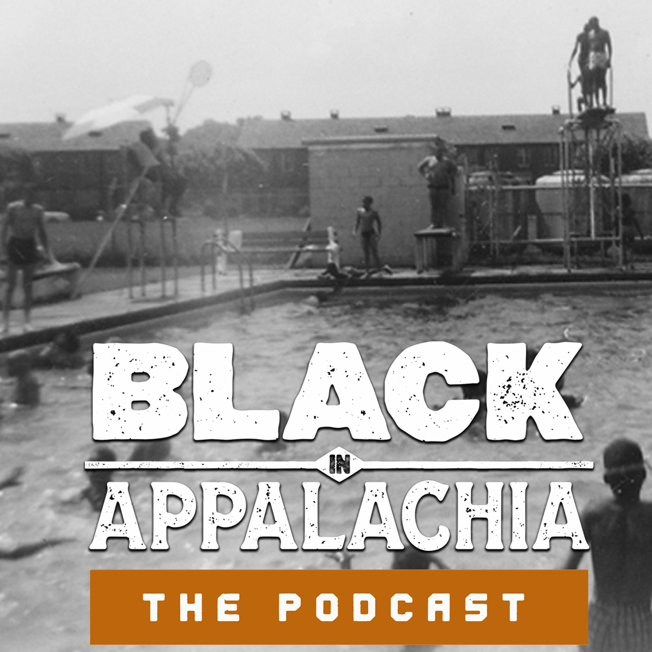 Black in Appalachia: Swimming and Pools