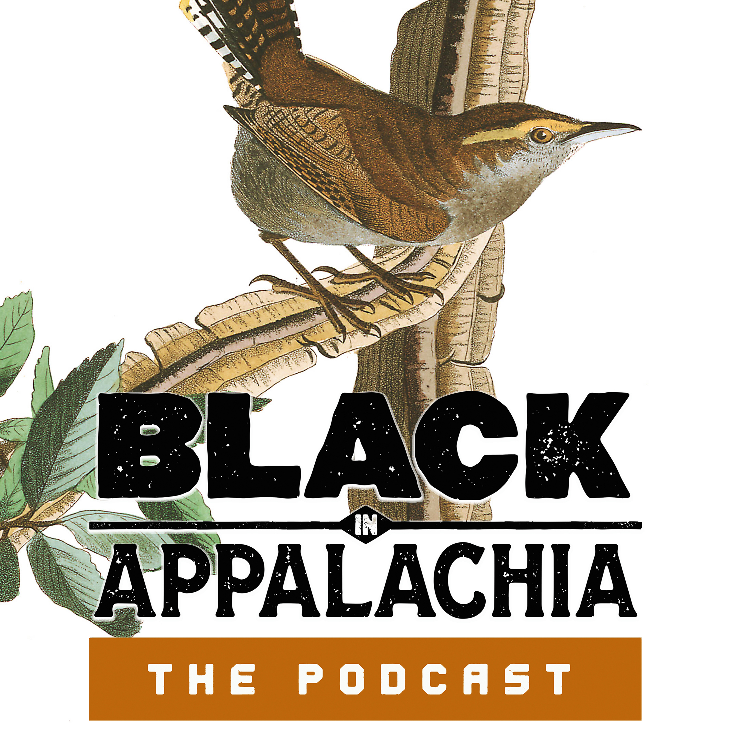Black in Appalachia: Birdwatching while Black