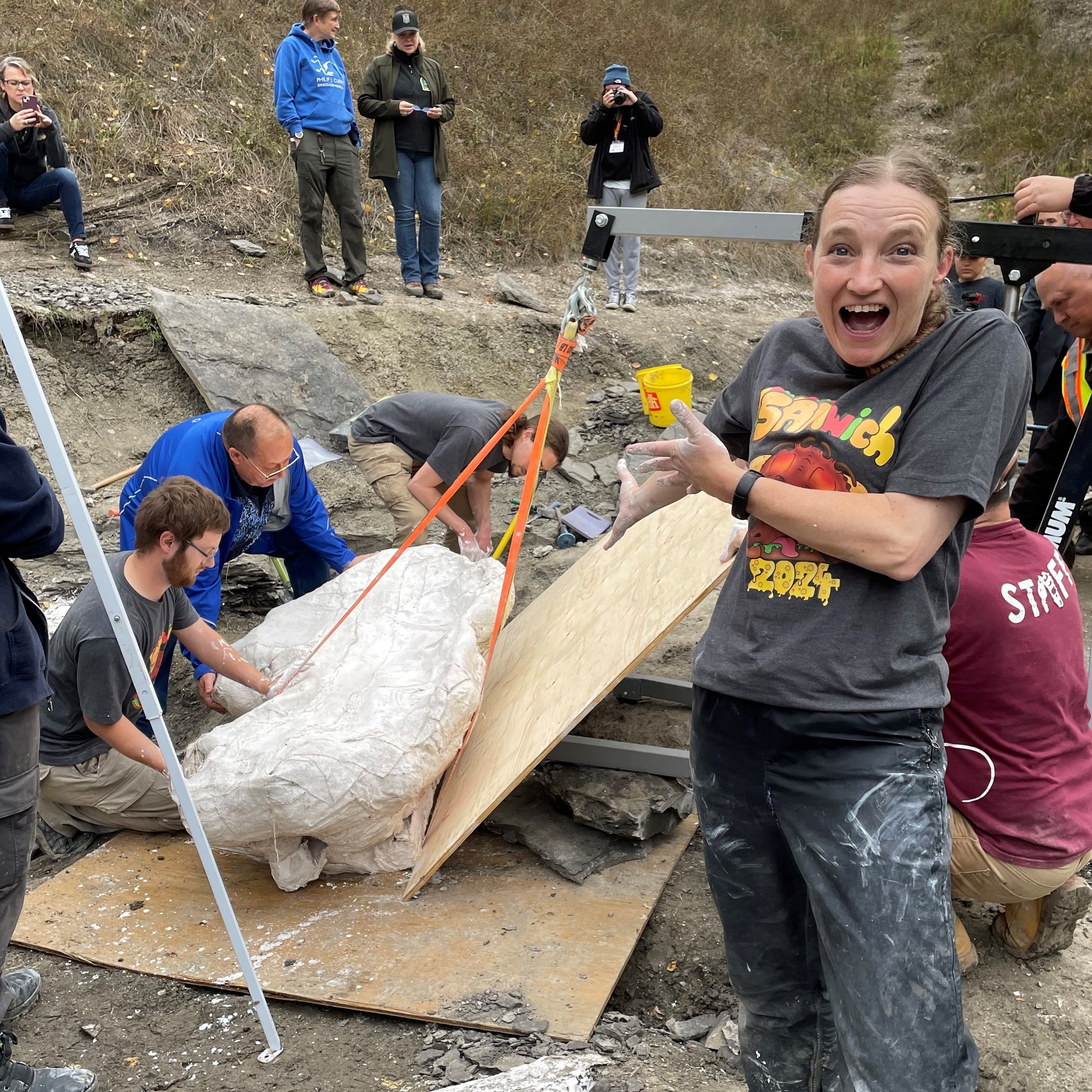 How did bird dinosaurs survive the meteor?