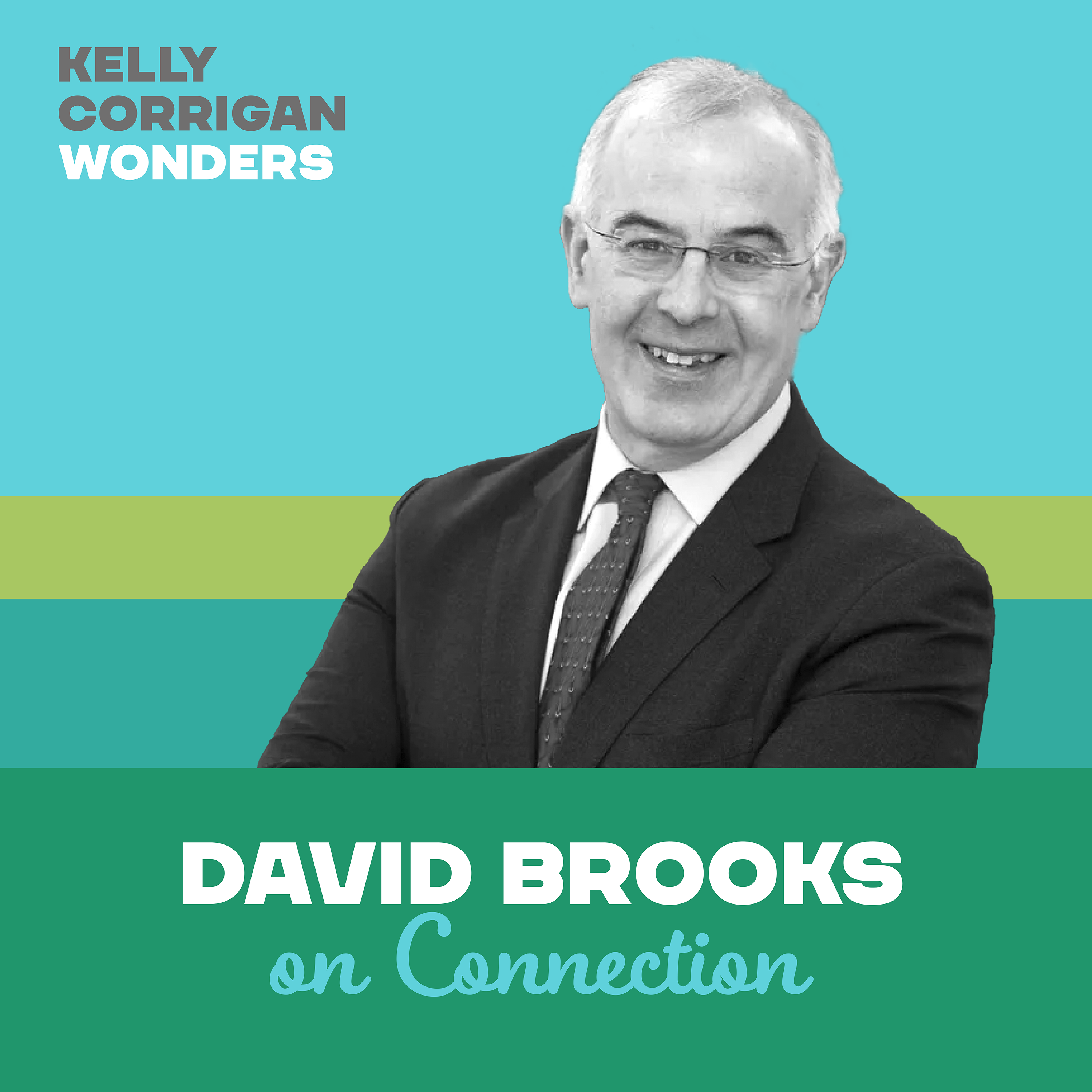 Going Deep with David Brooks on Connection