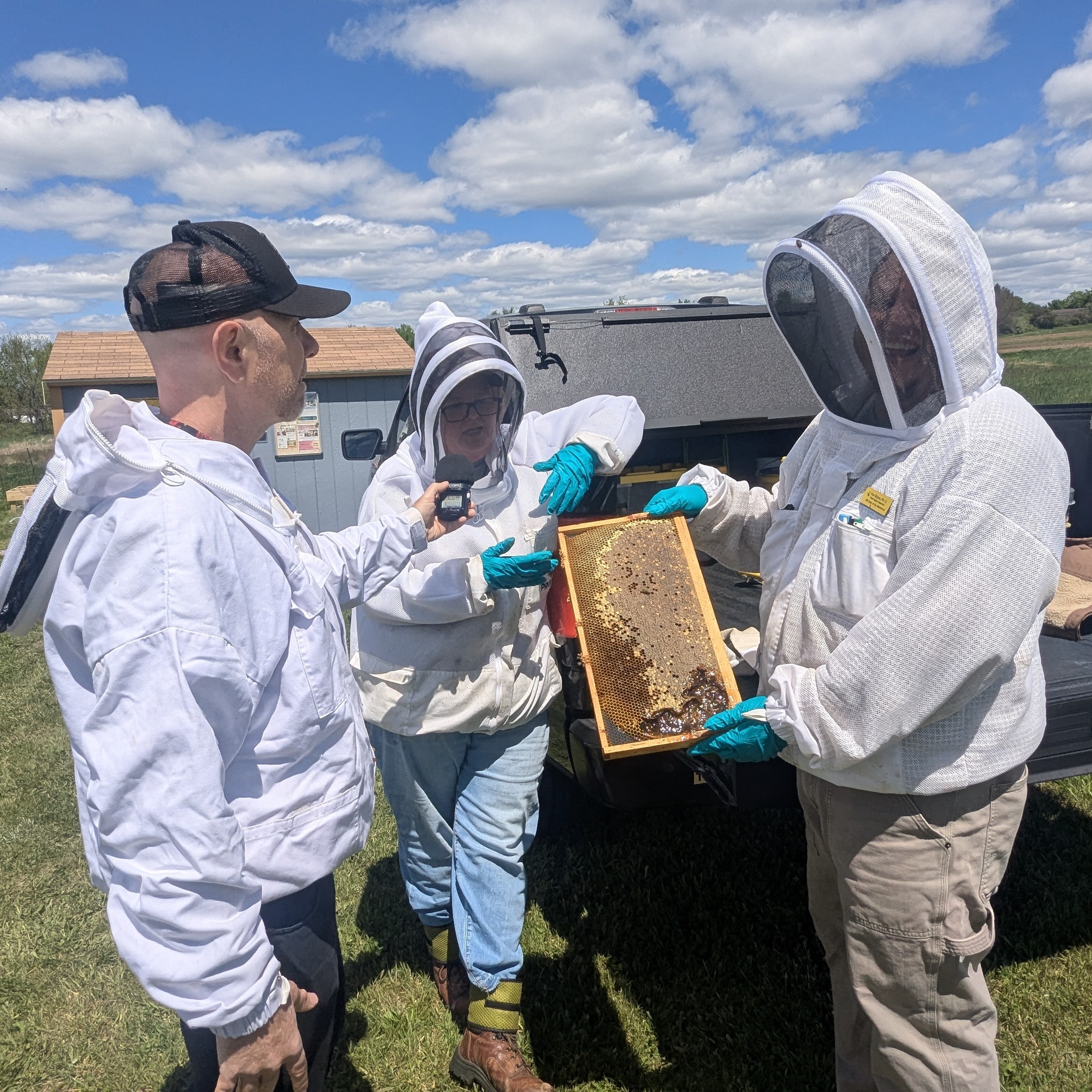 May 13, 2026: The Bee Show episode artwork