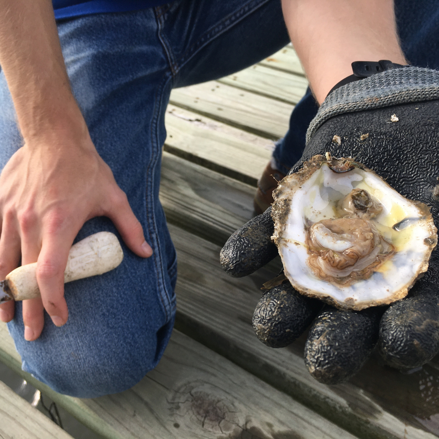 Episode 87: 'Have I Had My Last Good Oyster?' episode artwork