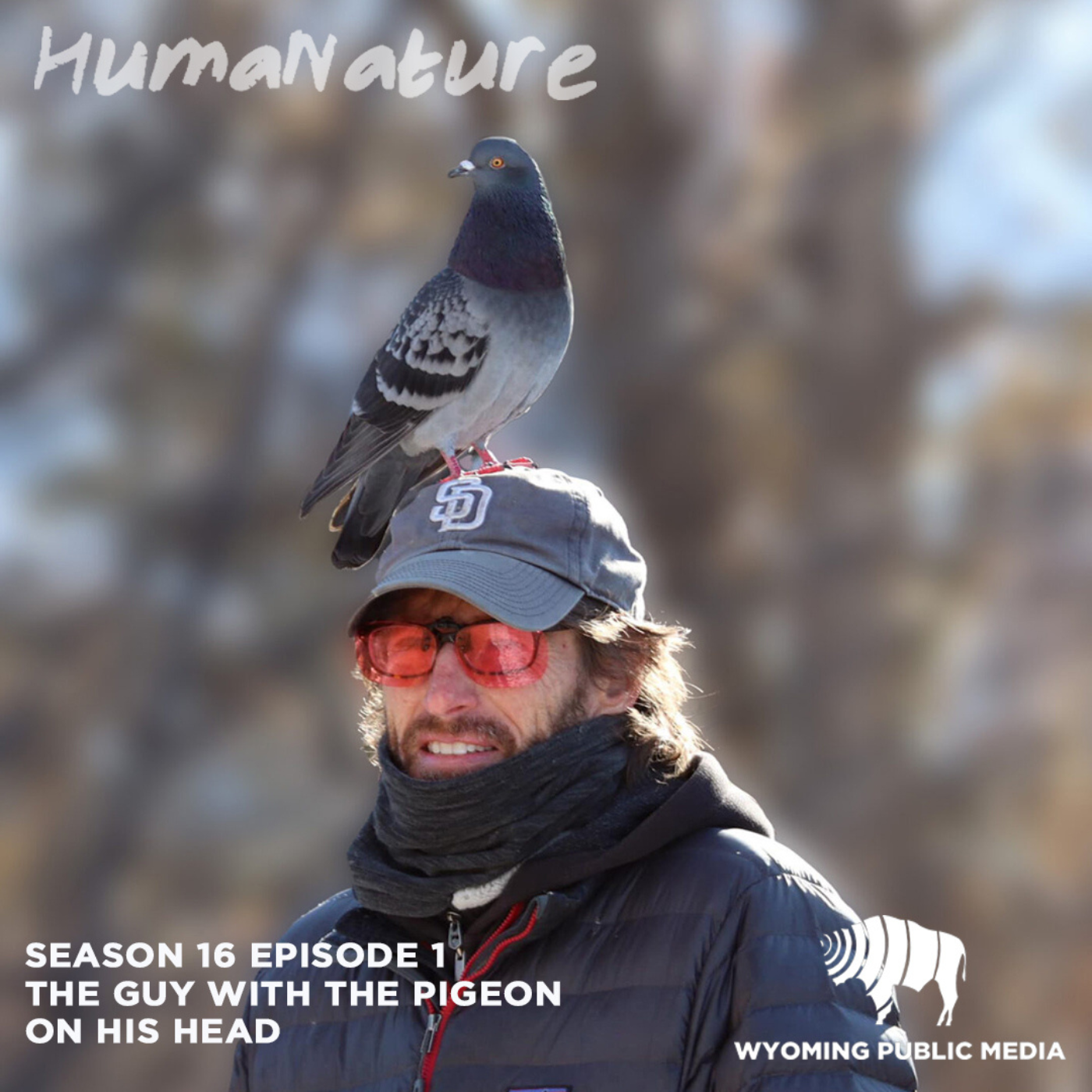 The Guy With The Pigeon On His Head The Guy With The Pigeon On His Head