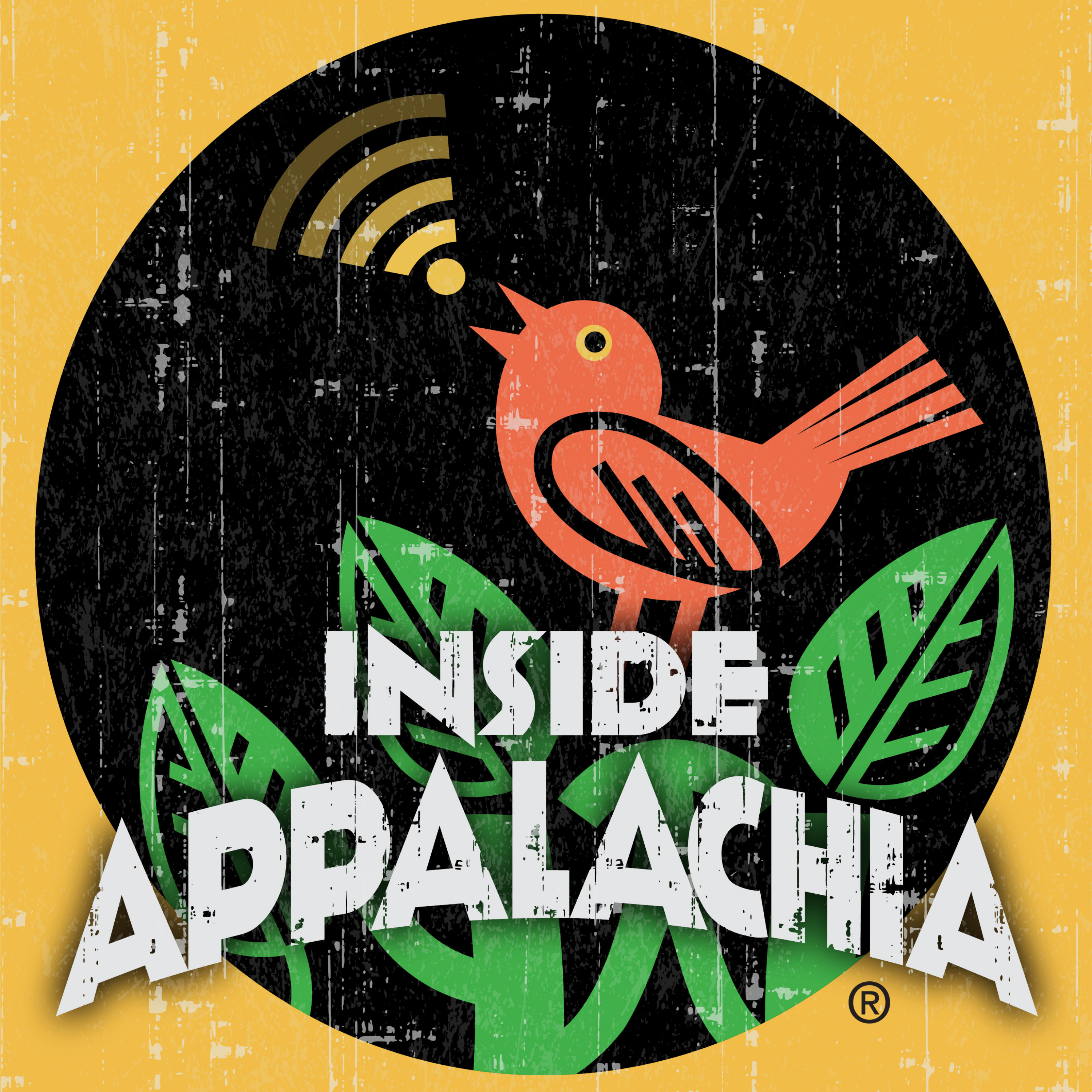Children's Authors Discuss Creativity, Appalachia, Diversity