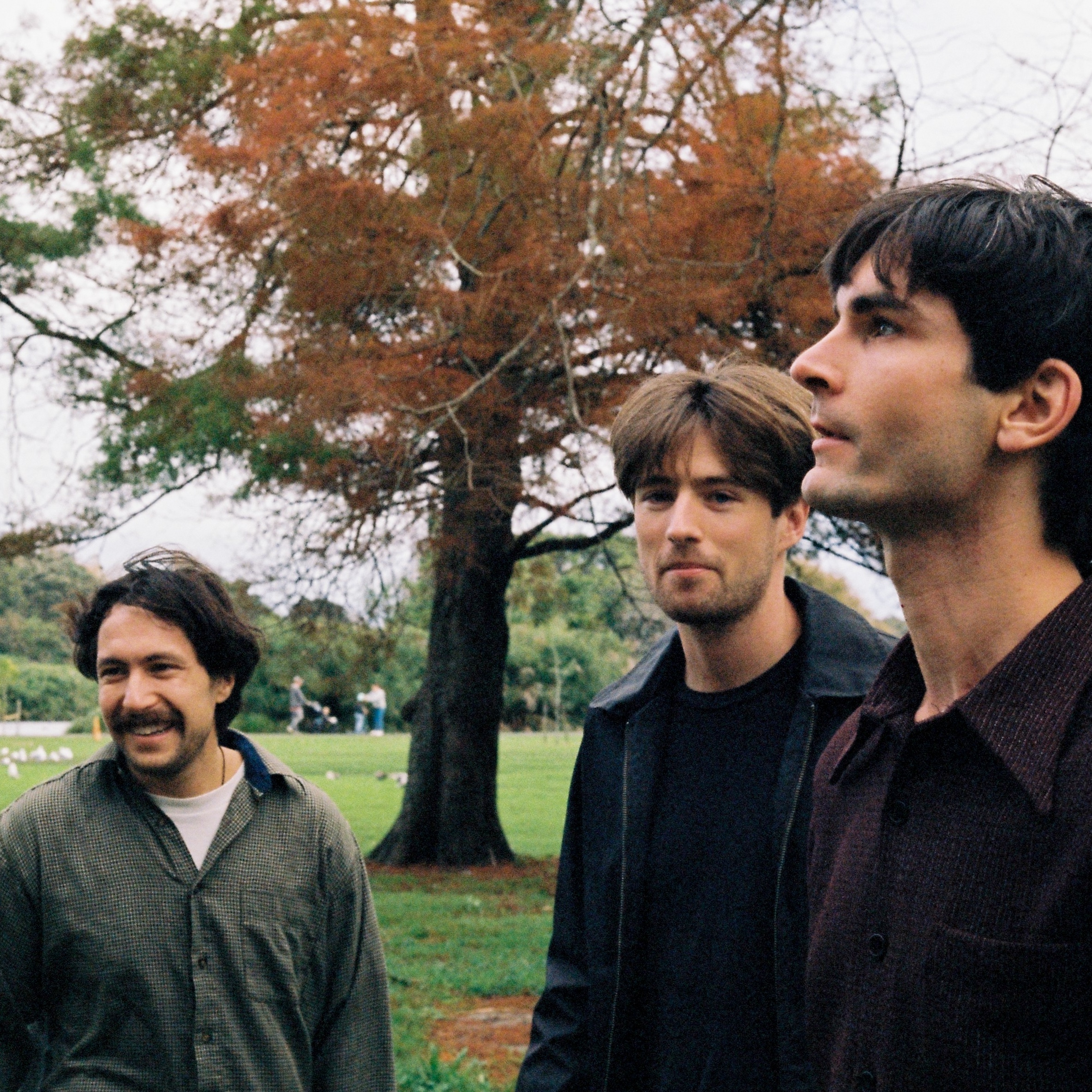 Interview: Kane Strang of Office Dog