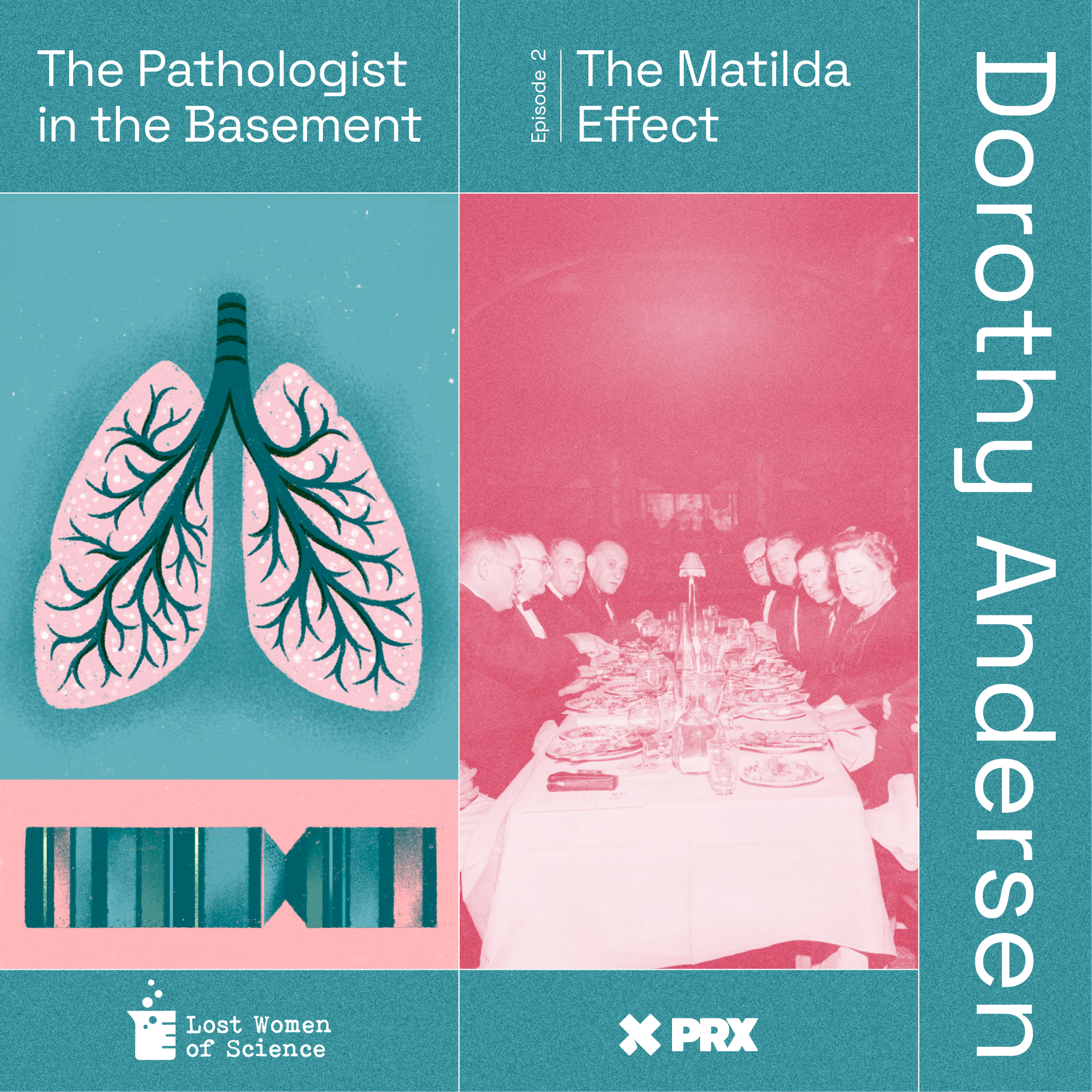 Revisiting the Pathologist in the Basement: Episode 2 The Matilda Effect