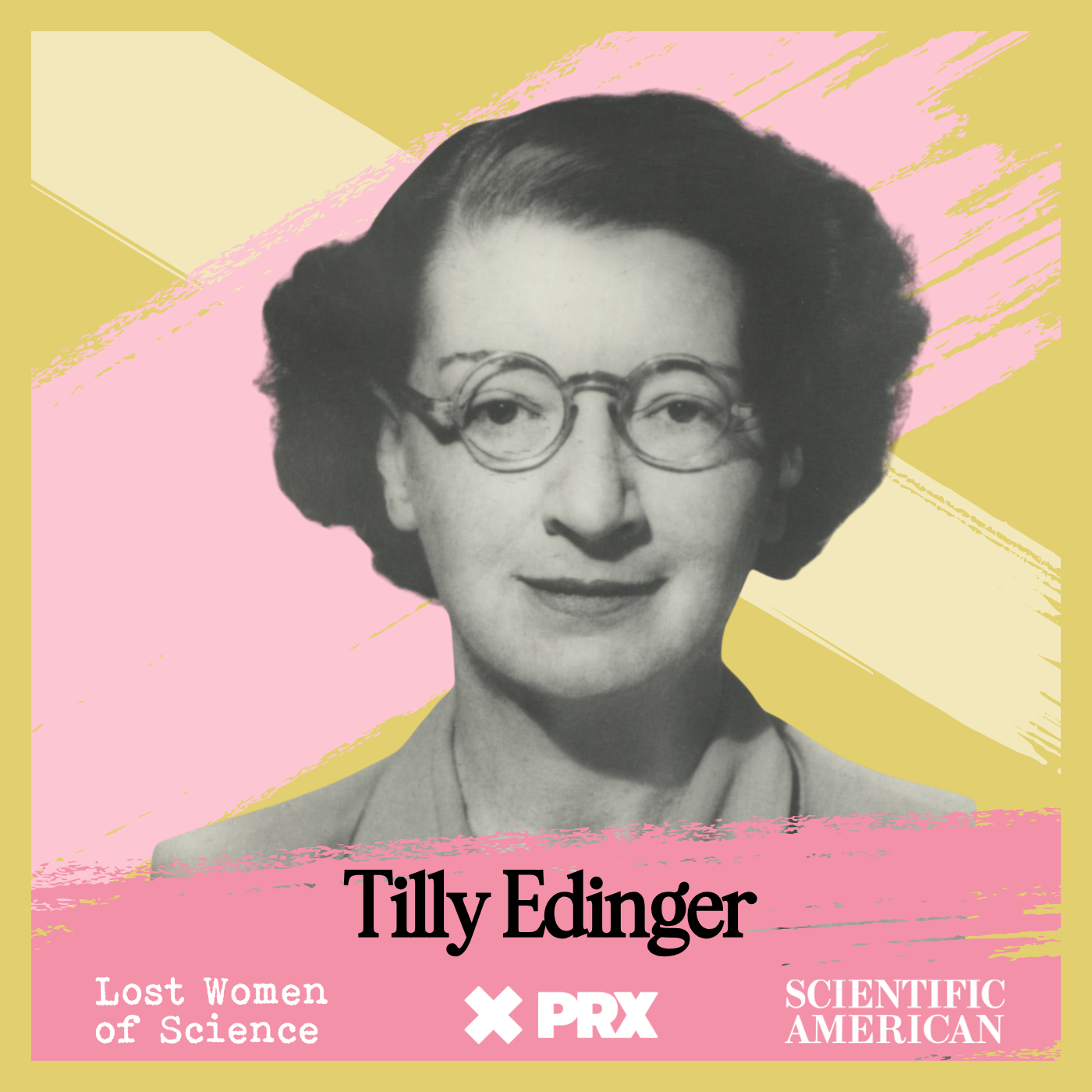 Tilly Edinger: The Paleoneurologist Saved By Her Science