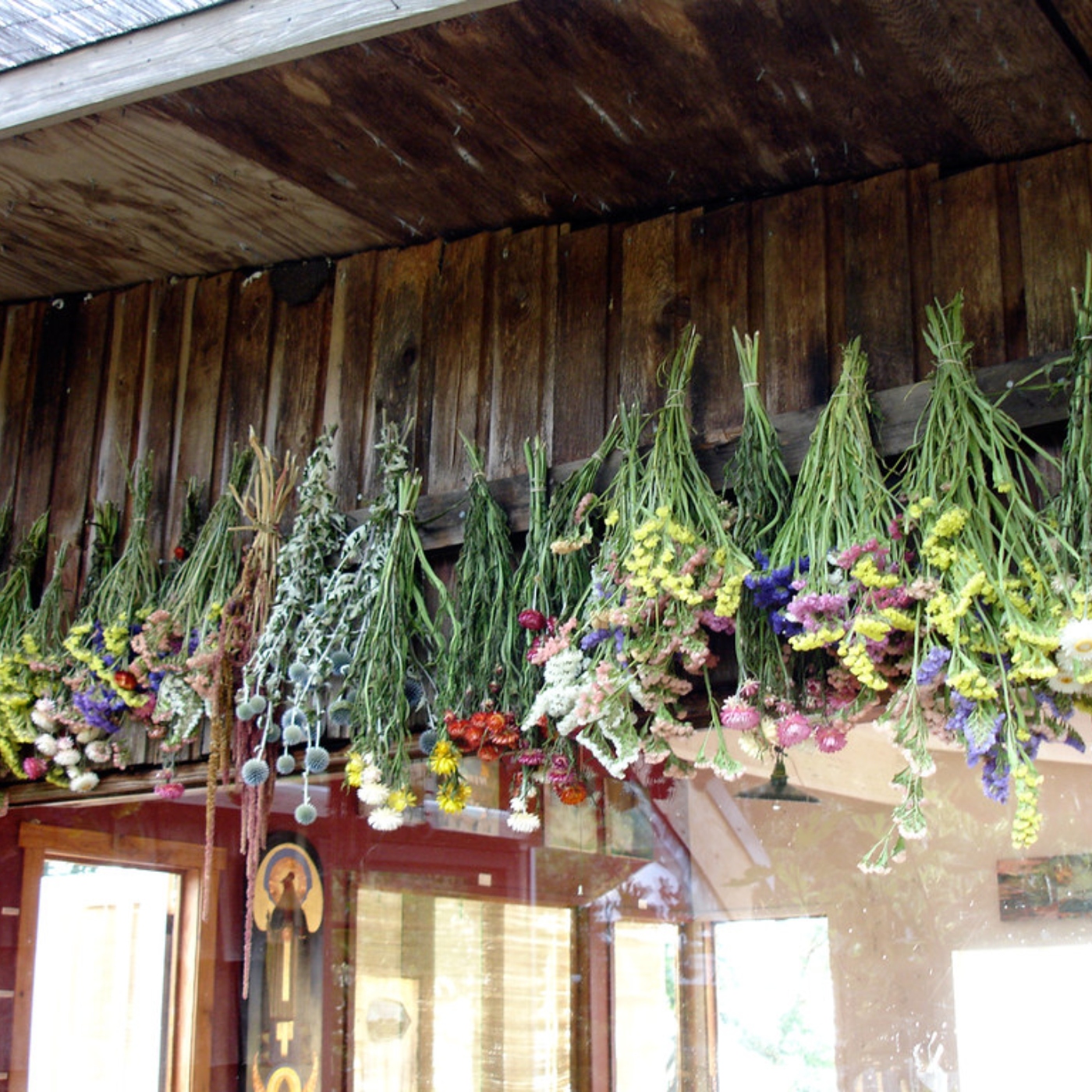 Drying Flowers