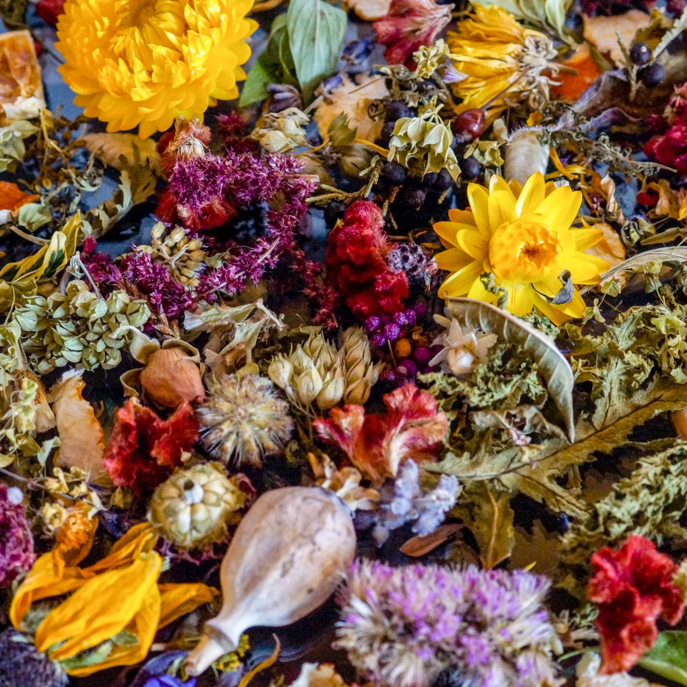 Potpourri