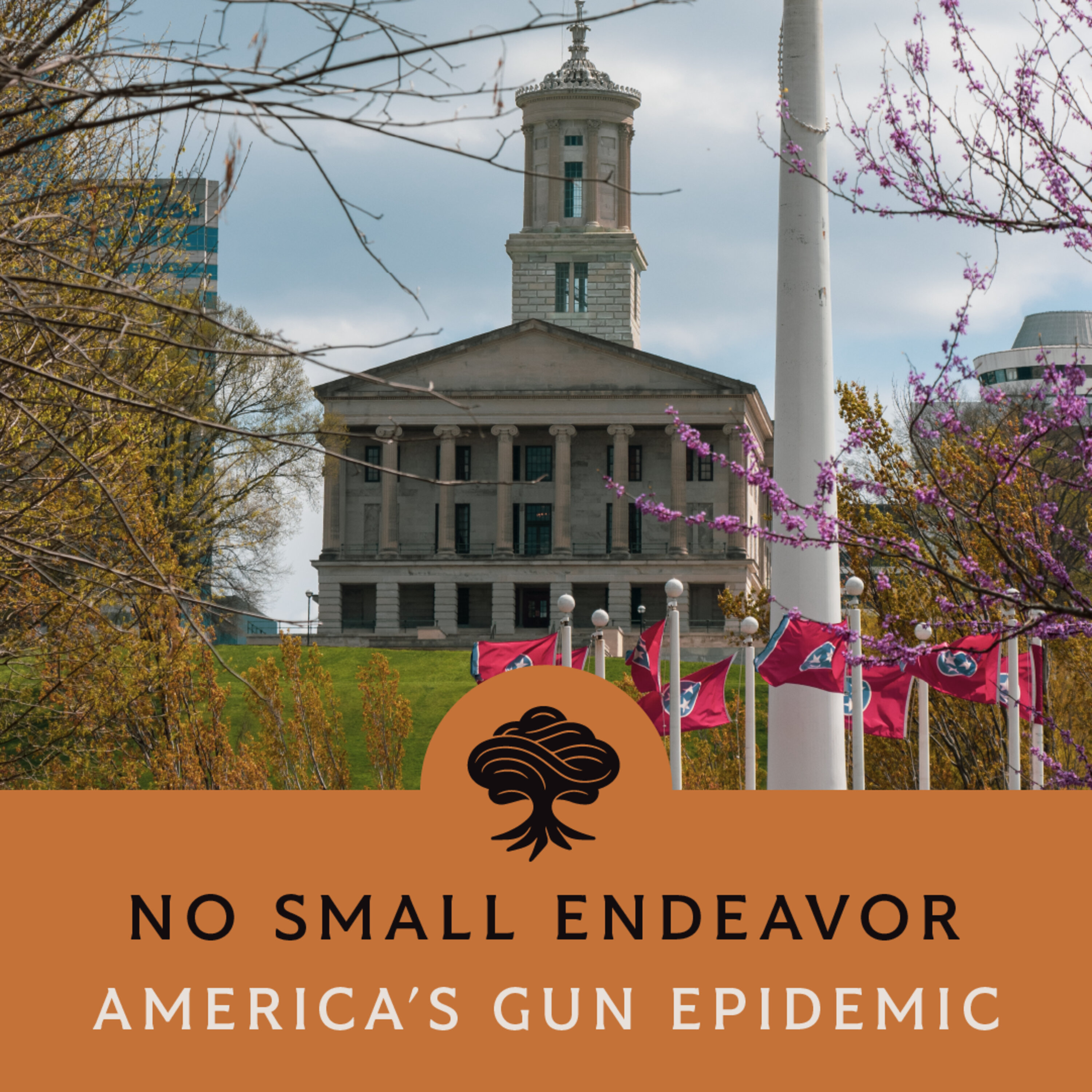 101: America’s Gun Epidemic: David Hemenway, Chris Hays, Carly Crouch, and Diane Latiker