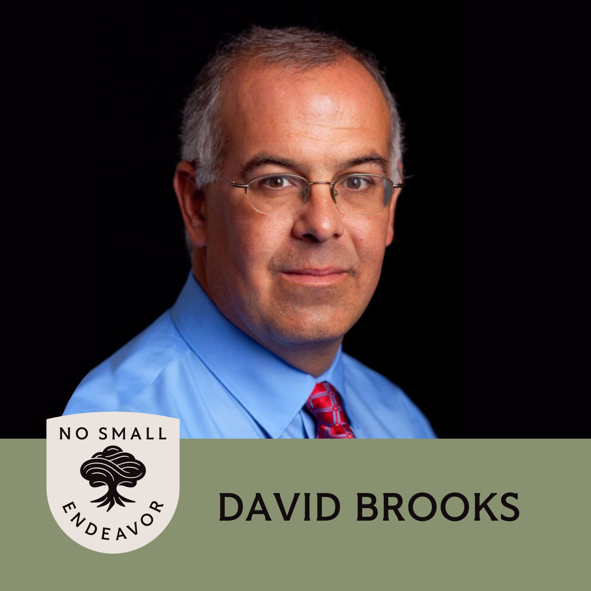 141: David Brooks: Can We Save Society By Knowing Each Other?
