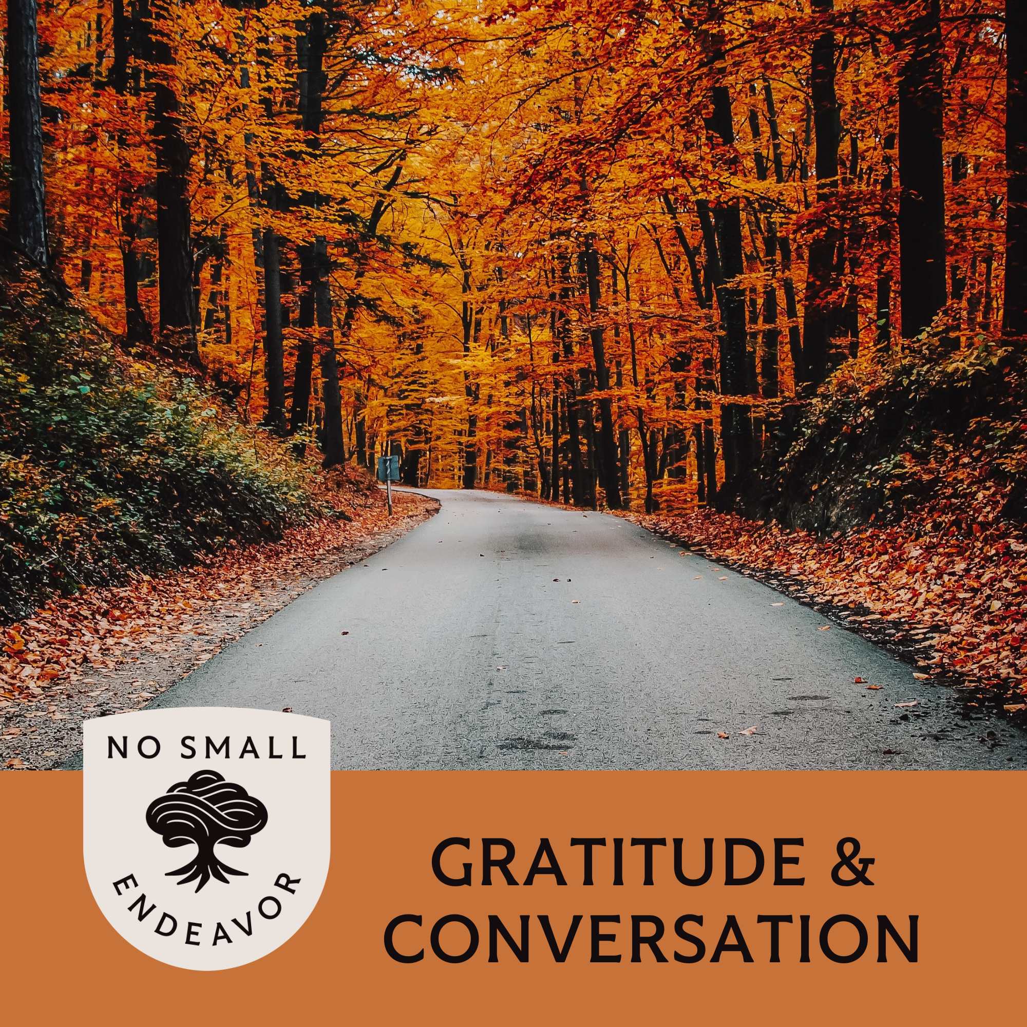 131: NSE Thanksgiving Special: Conversation and Gratitude