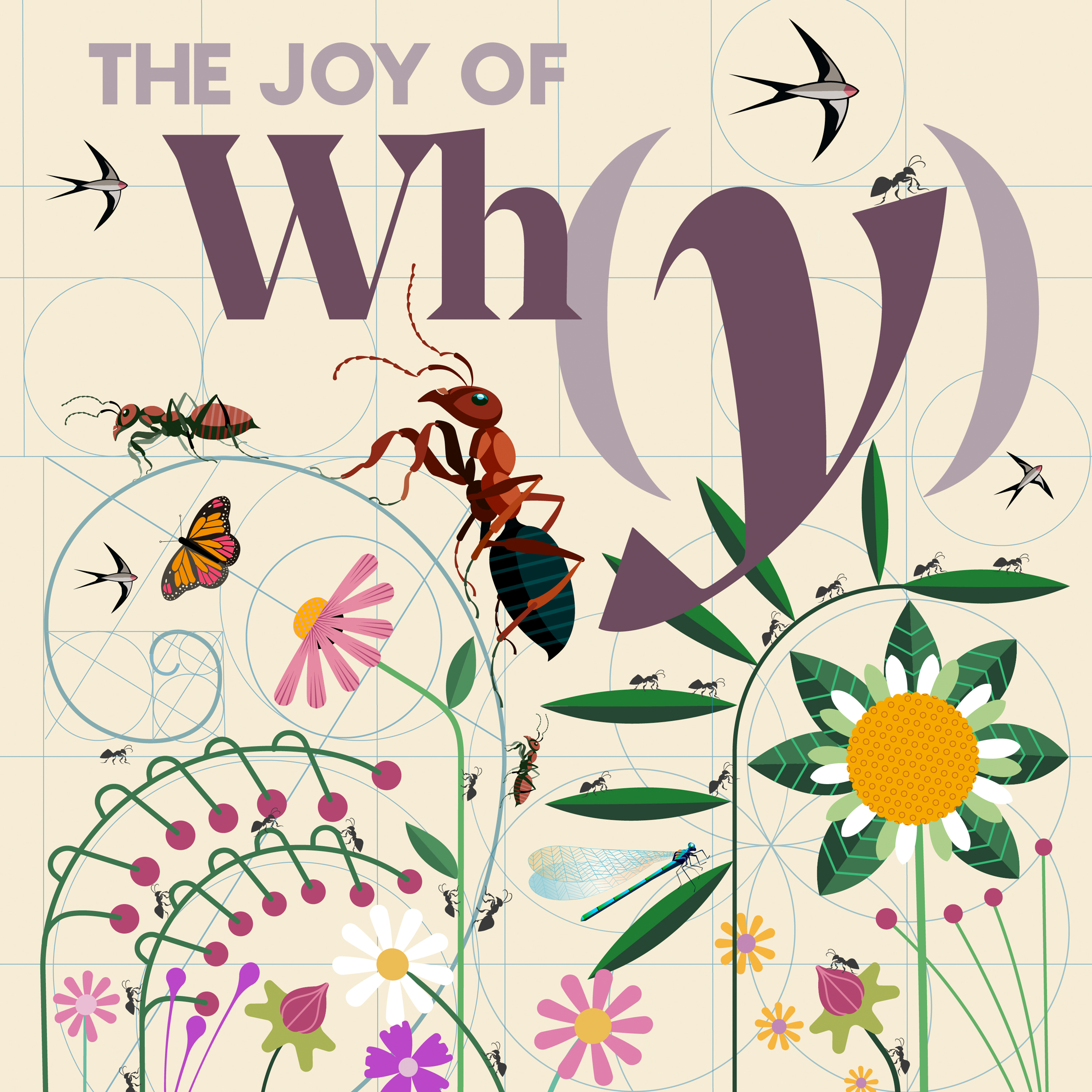 The Joy of Why