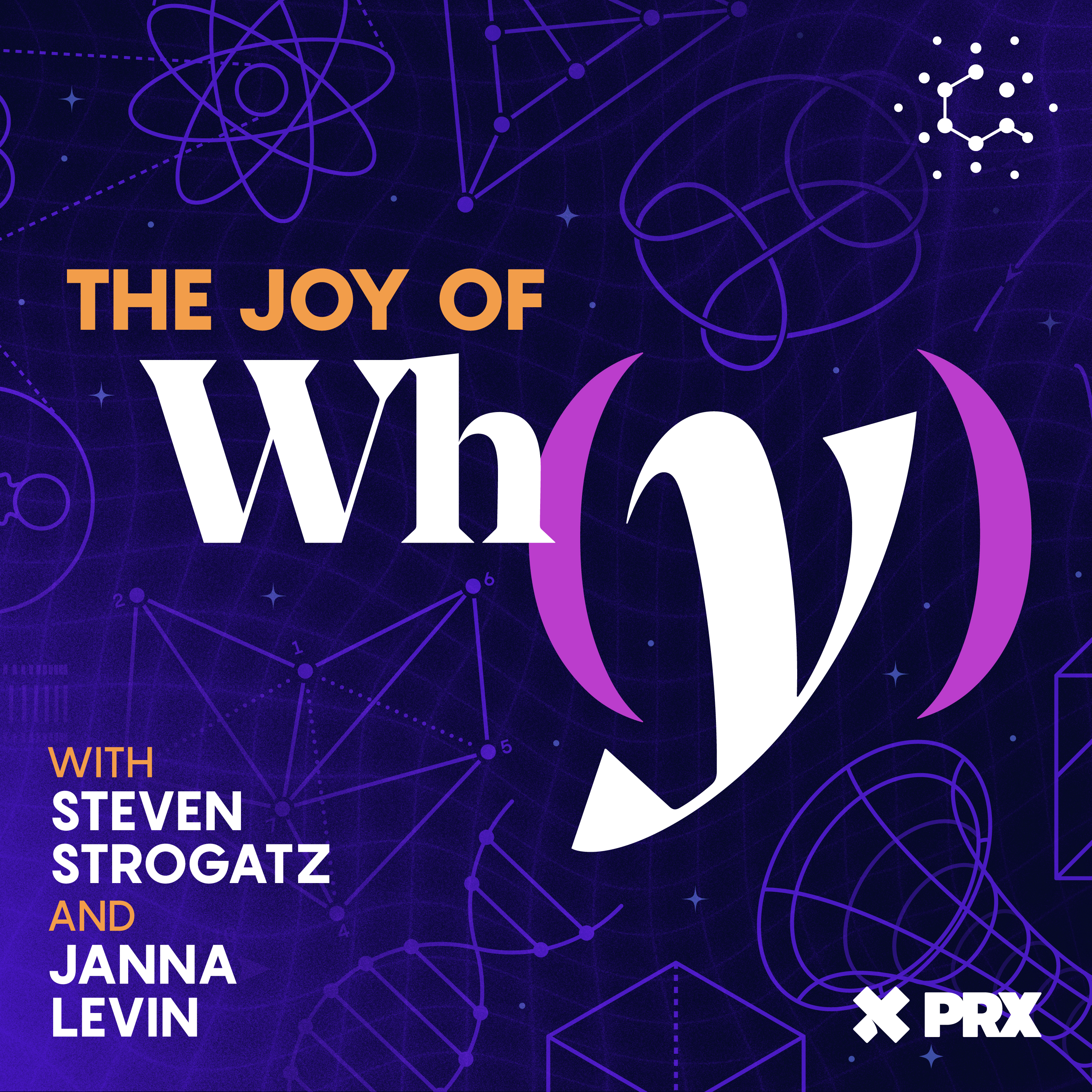 The Joy of Why - podcast cover