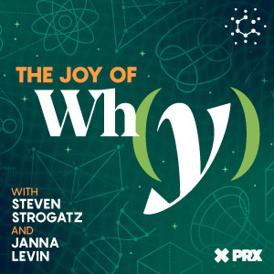 The Joy of Why