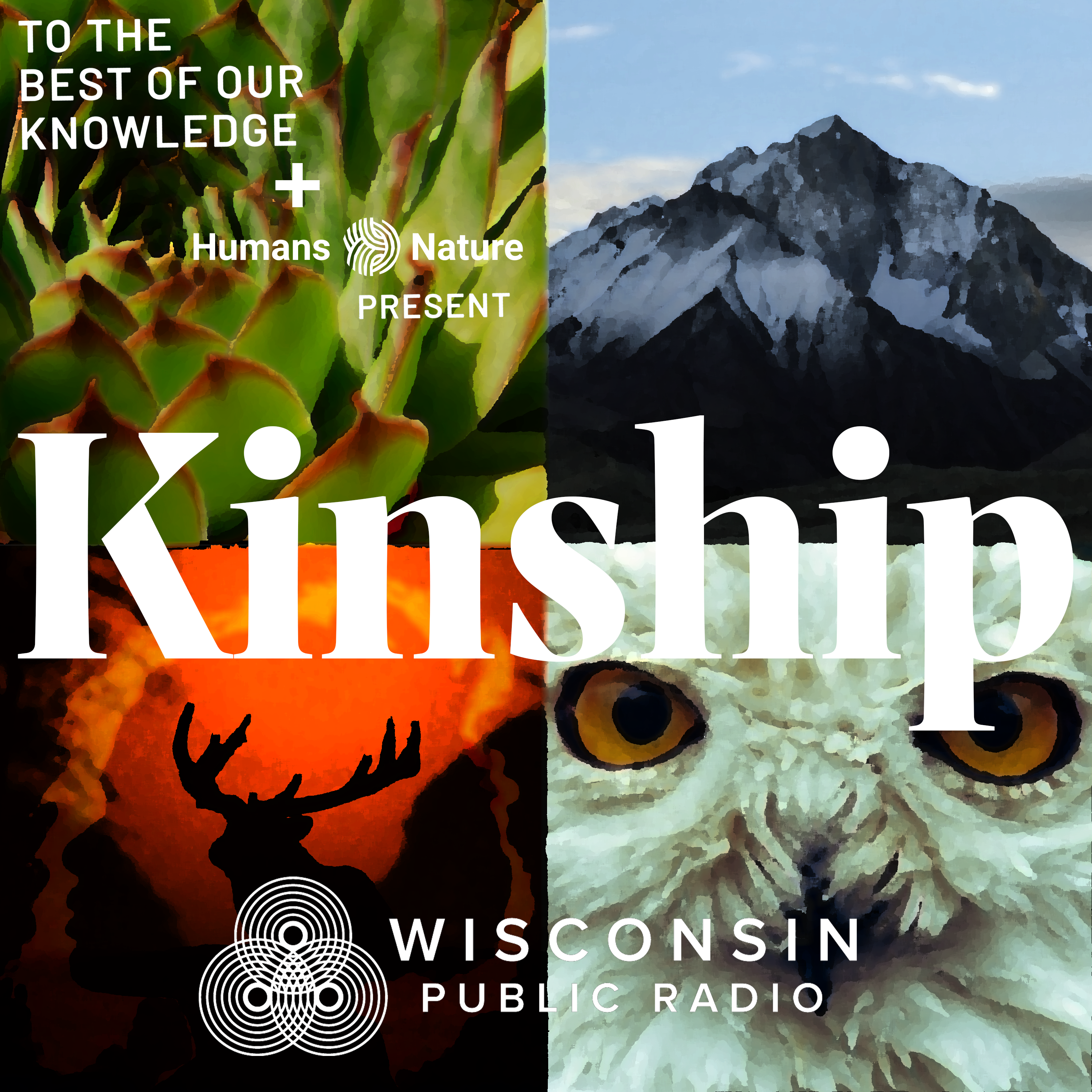 Kinship: Plants As Persons