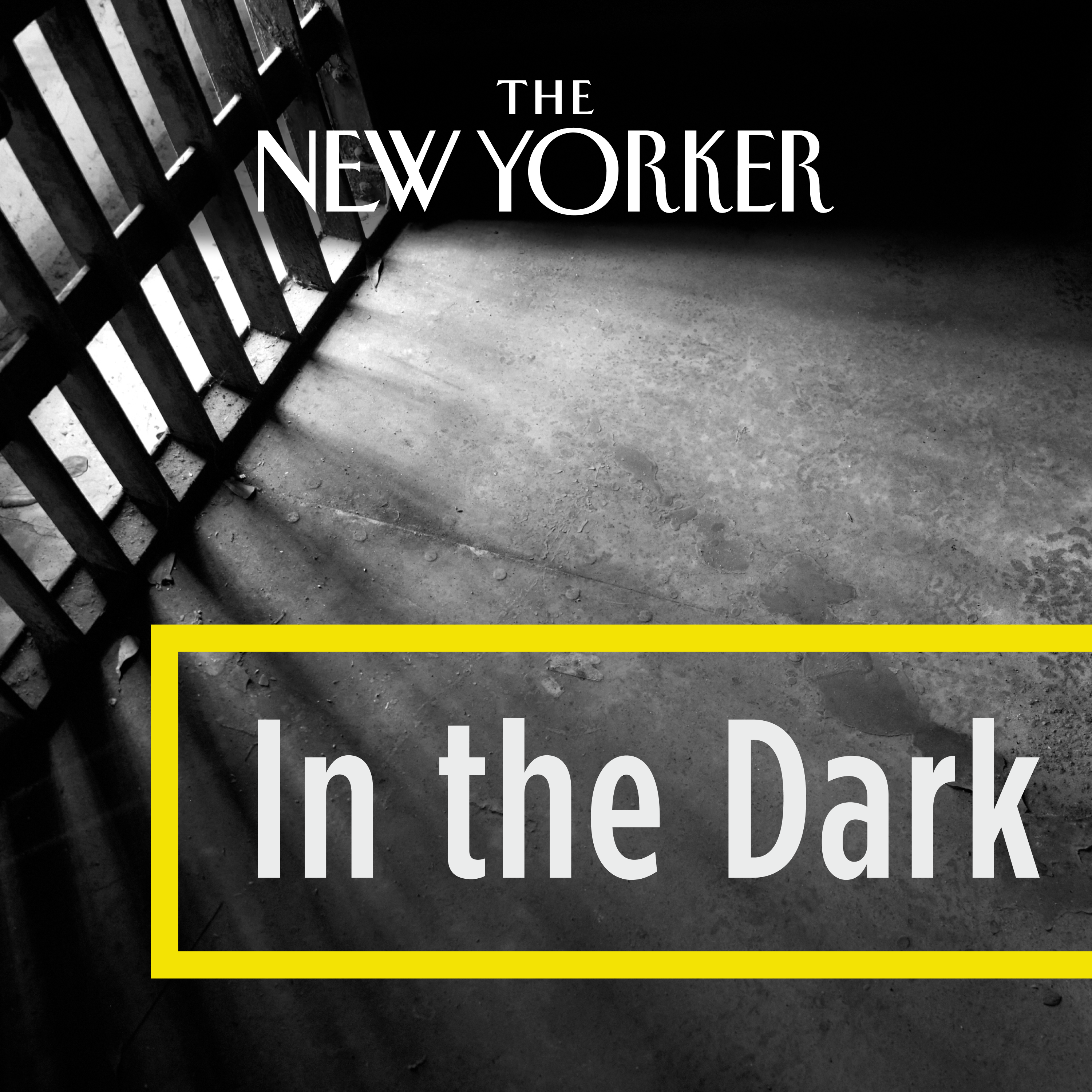 In The Dark:The New Yorker
