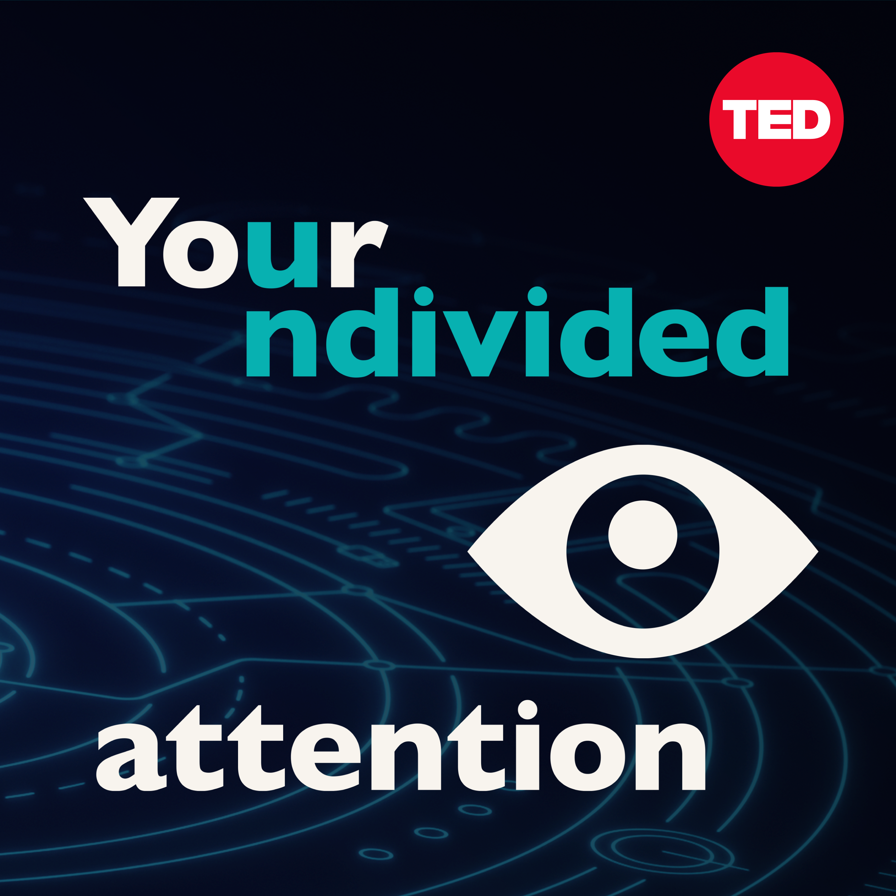 Real social media solutions, with Facebook whistleblower Frances Haugen | Your Undivided Attention