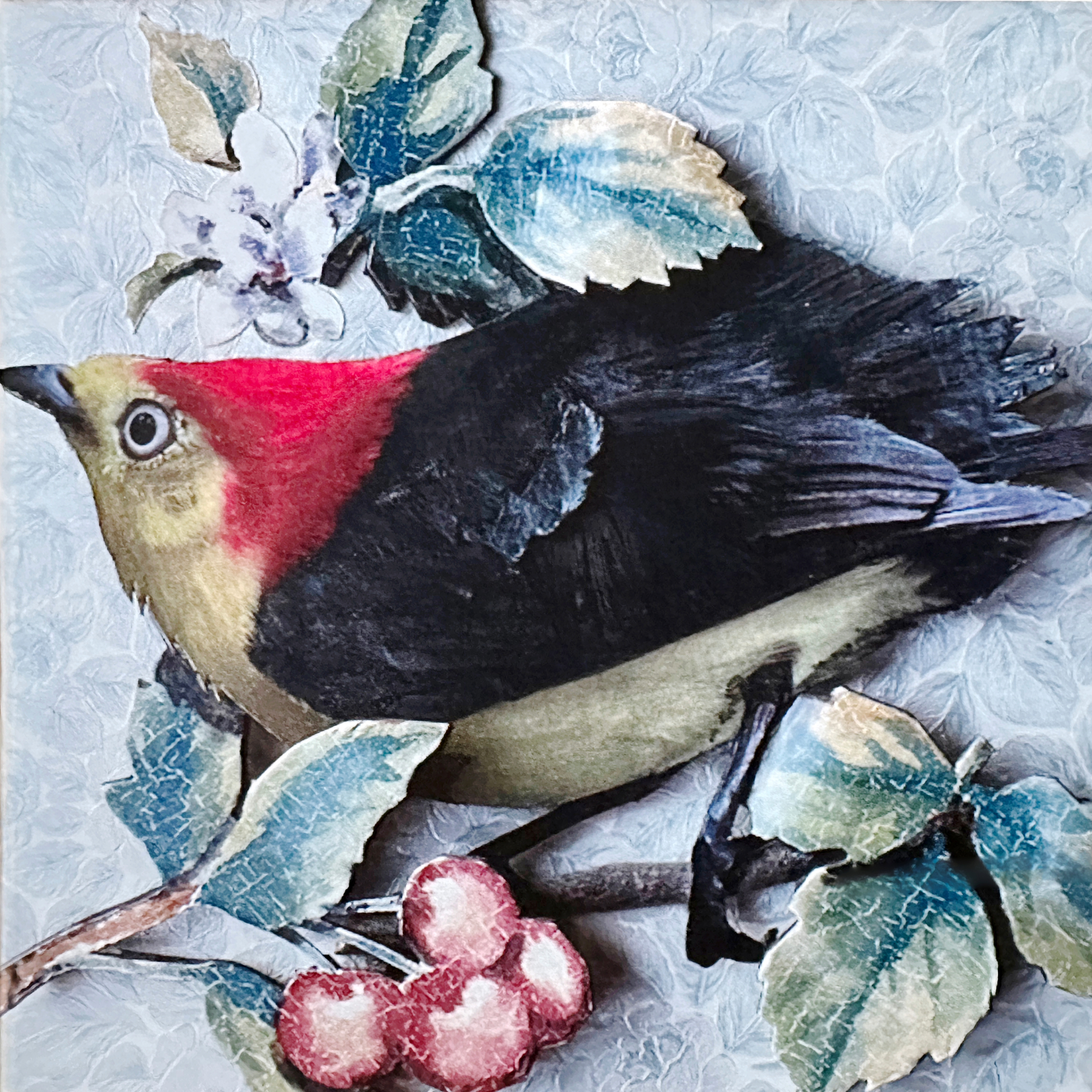 Revisiting “Saber-Toothed Cat”