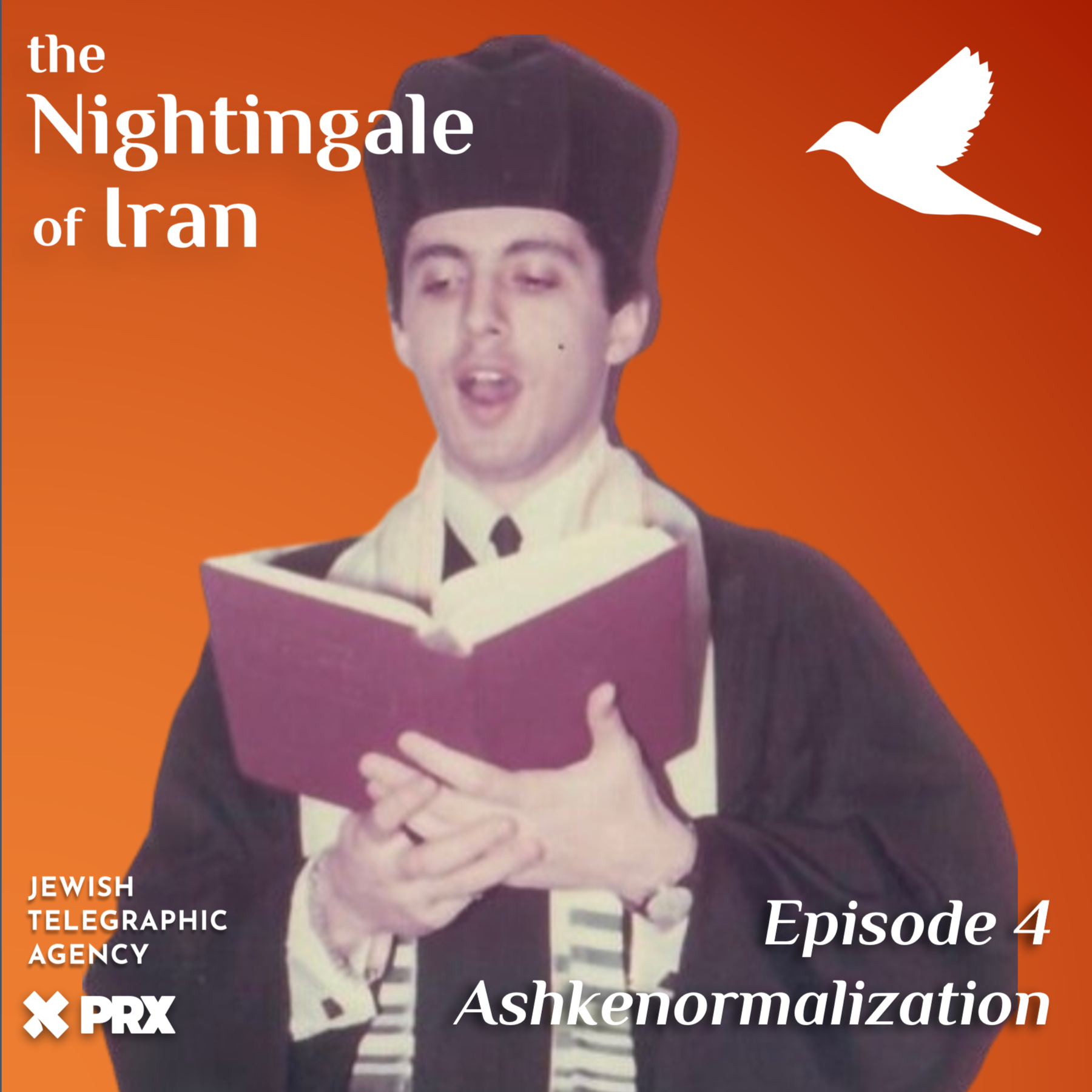 Episode 4 - Ashkenormalization