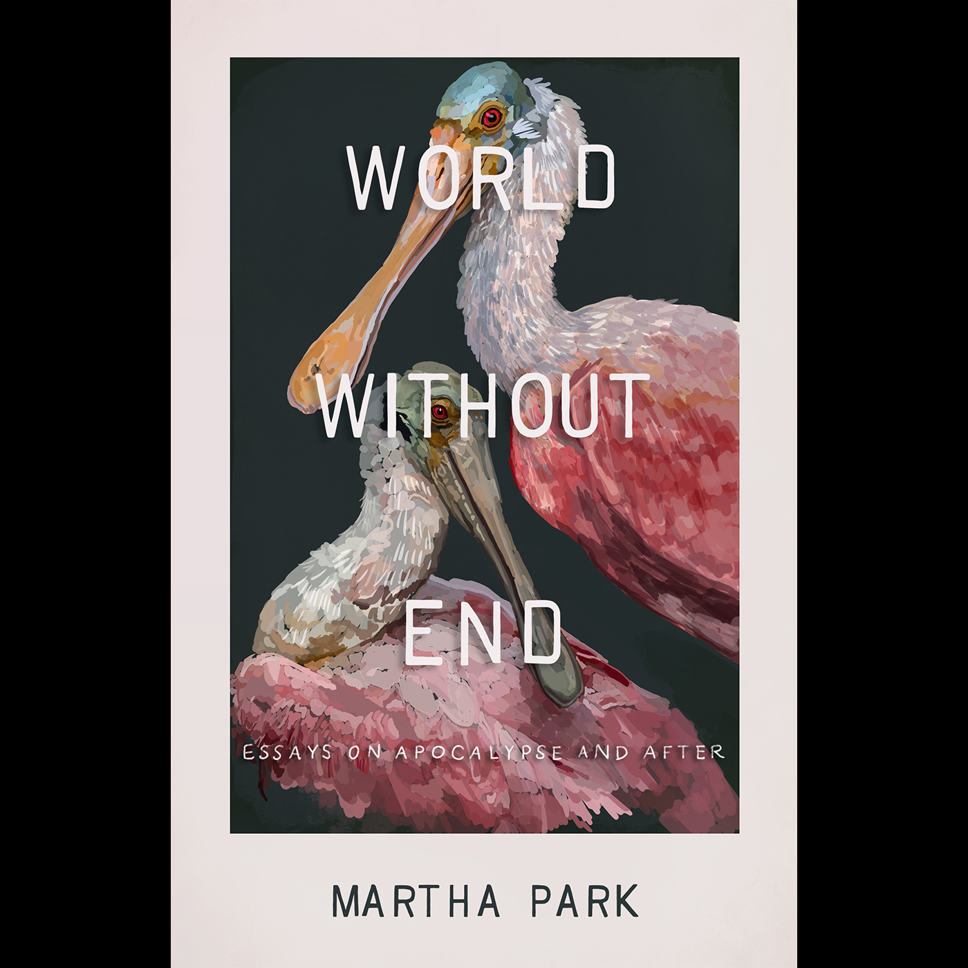 The Reading Life: Martha Park