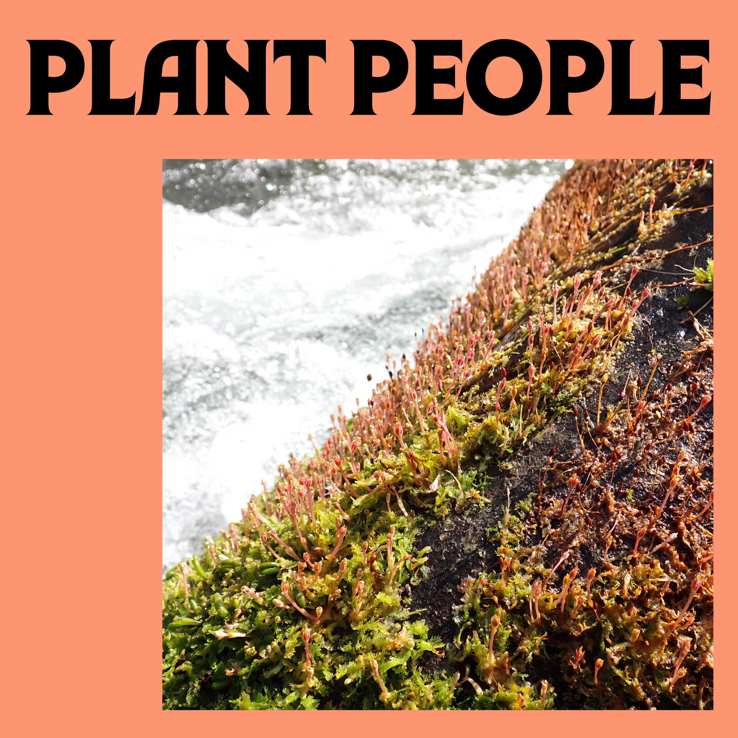 Extreme Botany