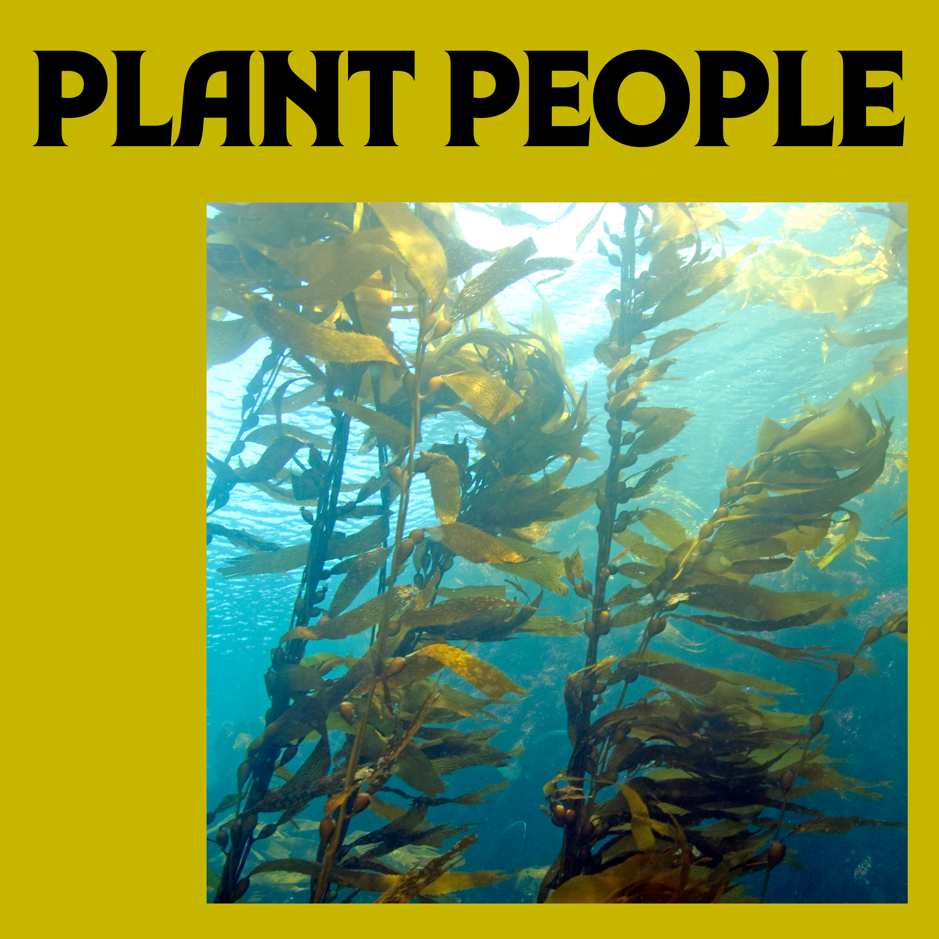 Kelp with Dr. April Ridlon episode artwork