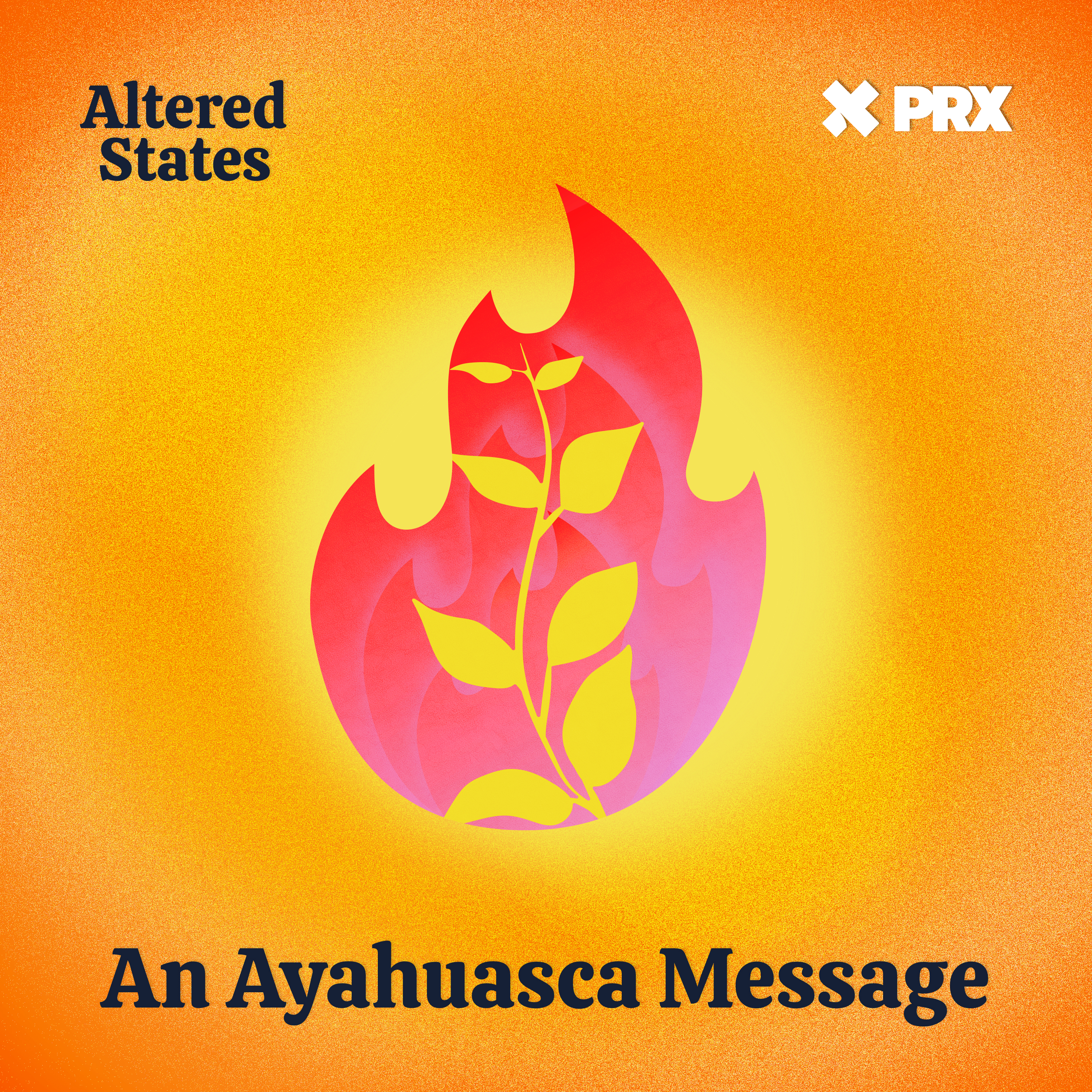 An Ayahuasca Message