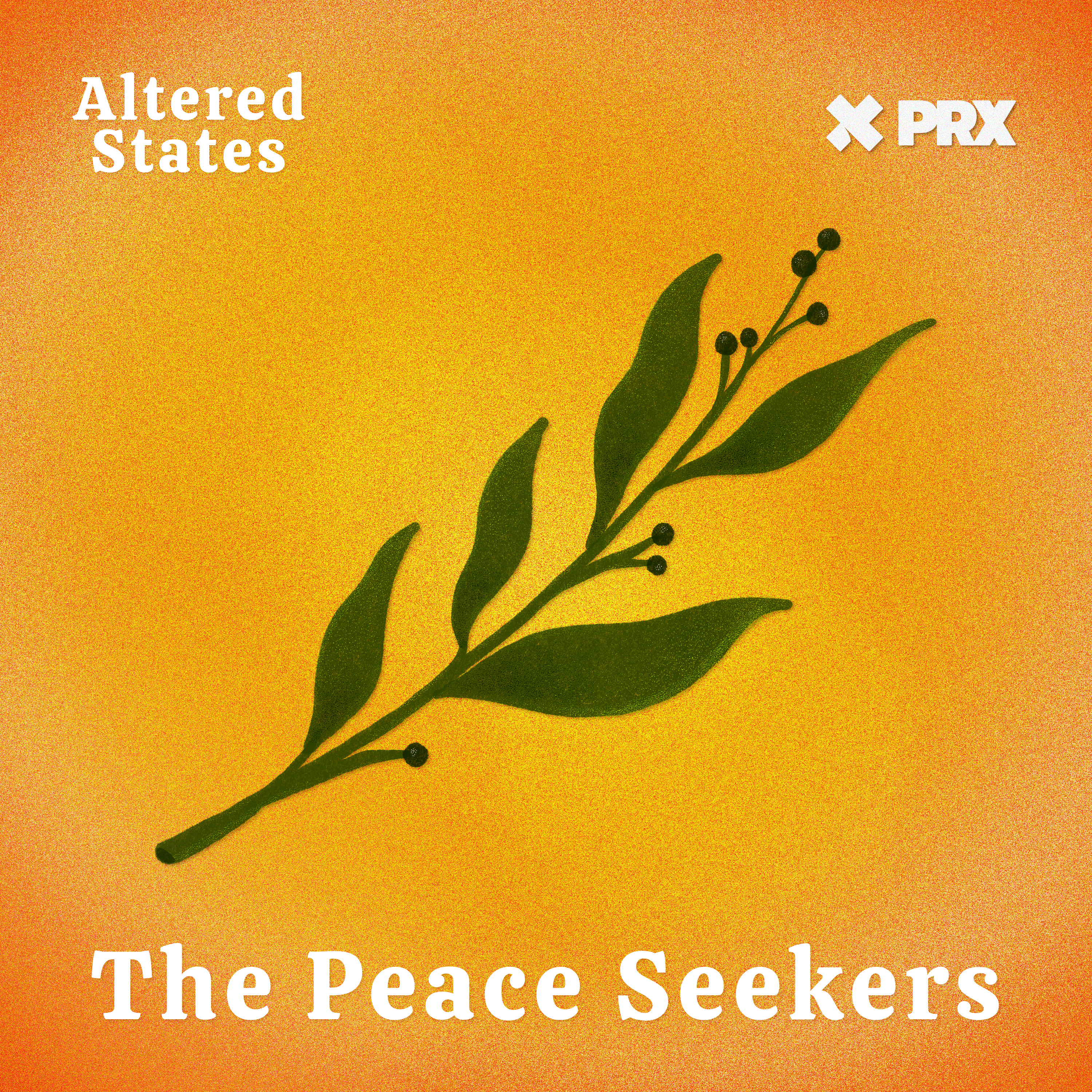 The Peace Seekers - podcast episode cover