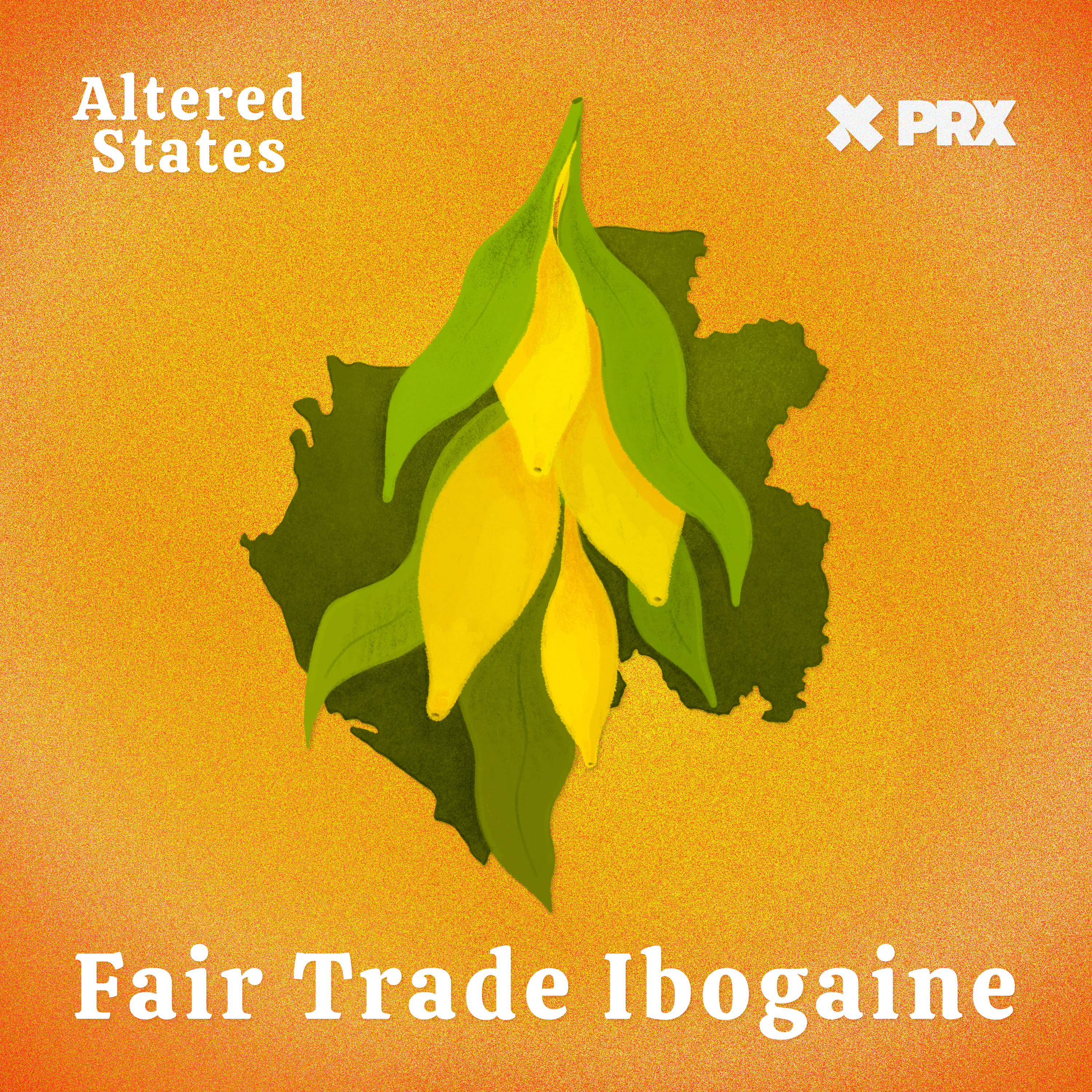 Fair Trade Ibogaine