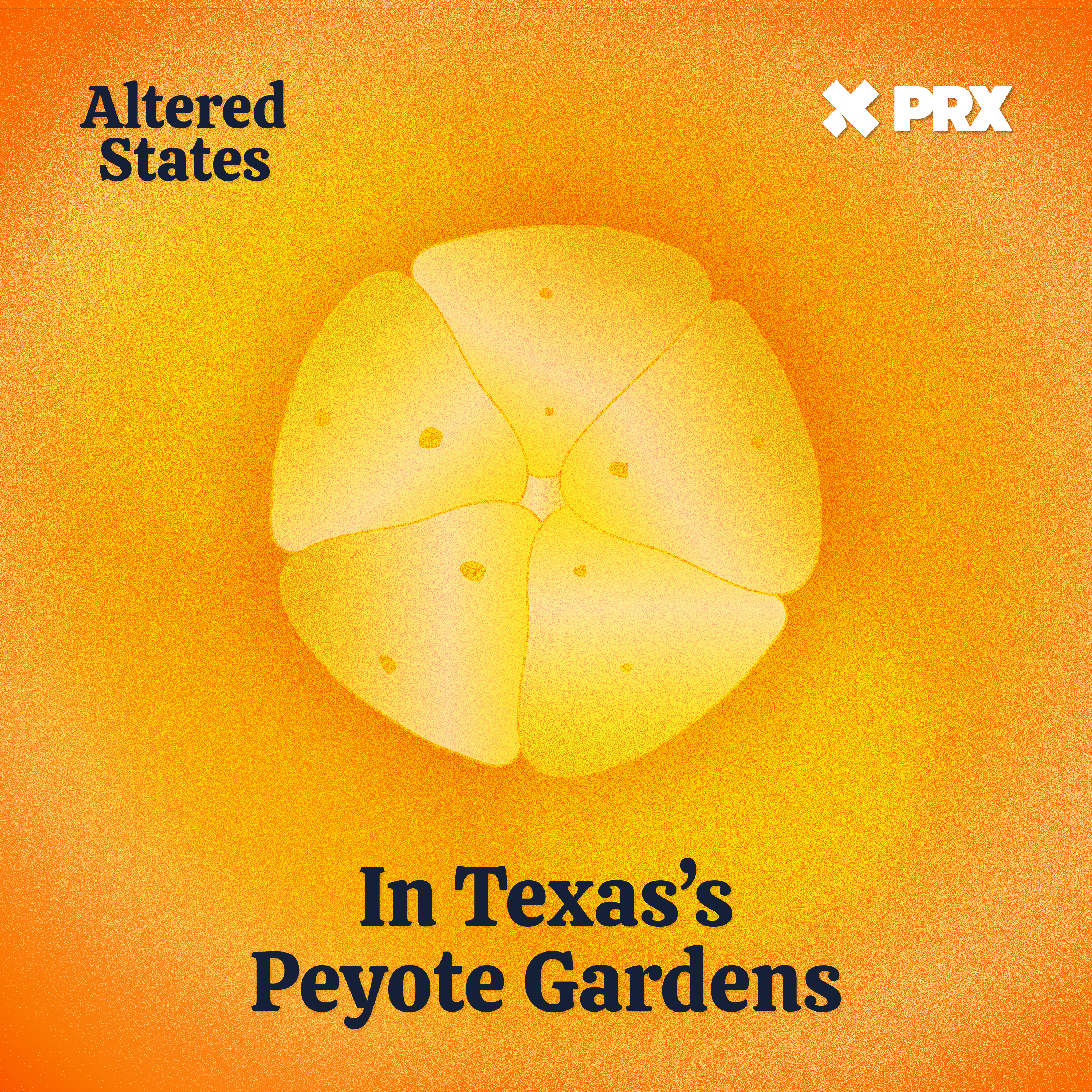 In Texas’s Peyote Gardens