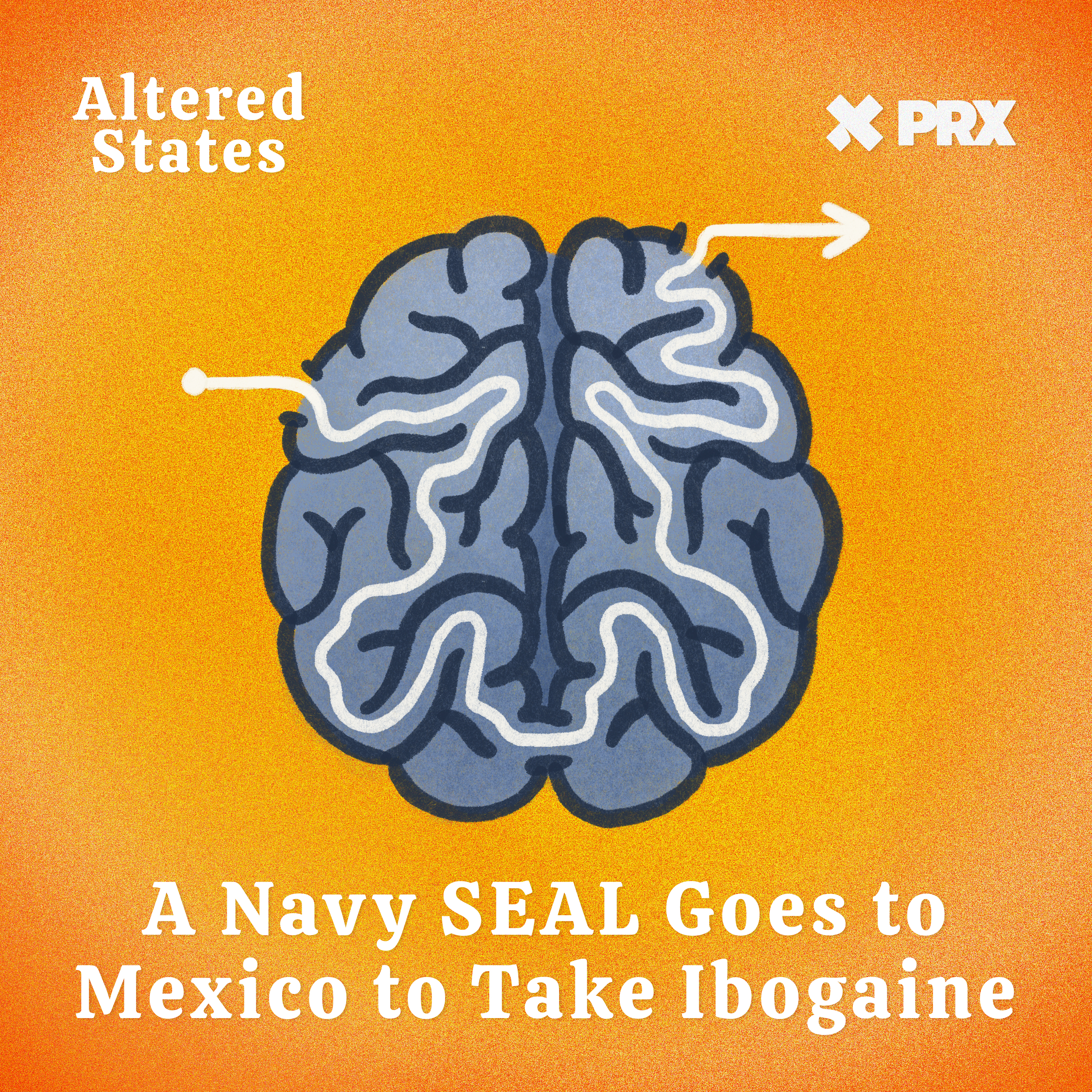 A Navy SEAL Goes to Mexico to take Ibogaine - podcast episode cover