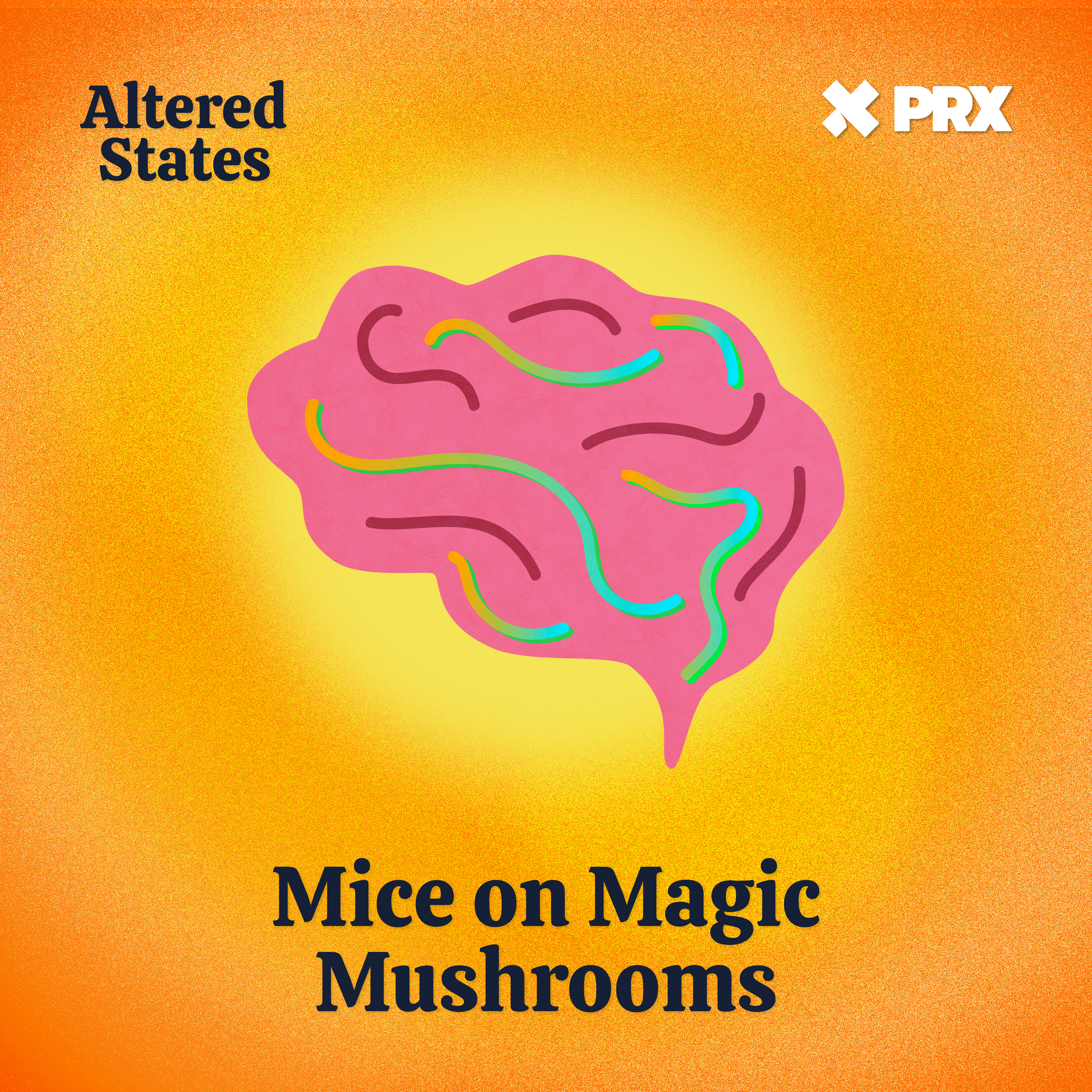 Mice on Magic Mushrooms