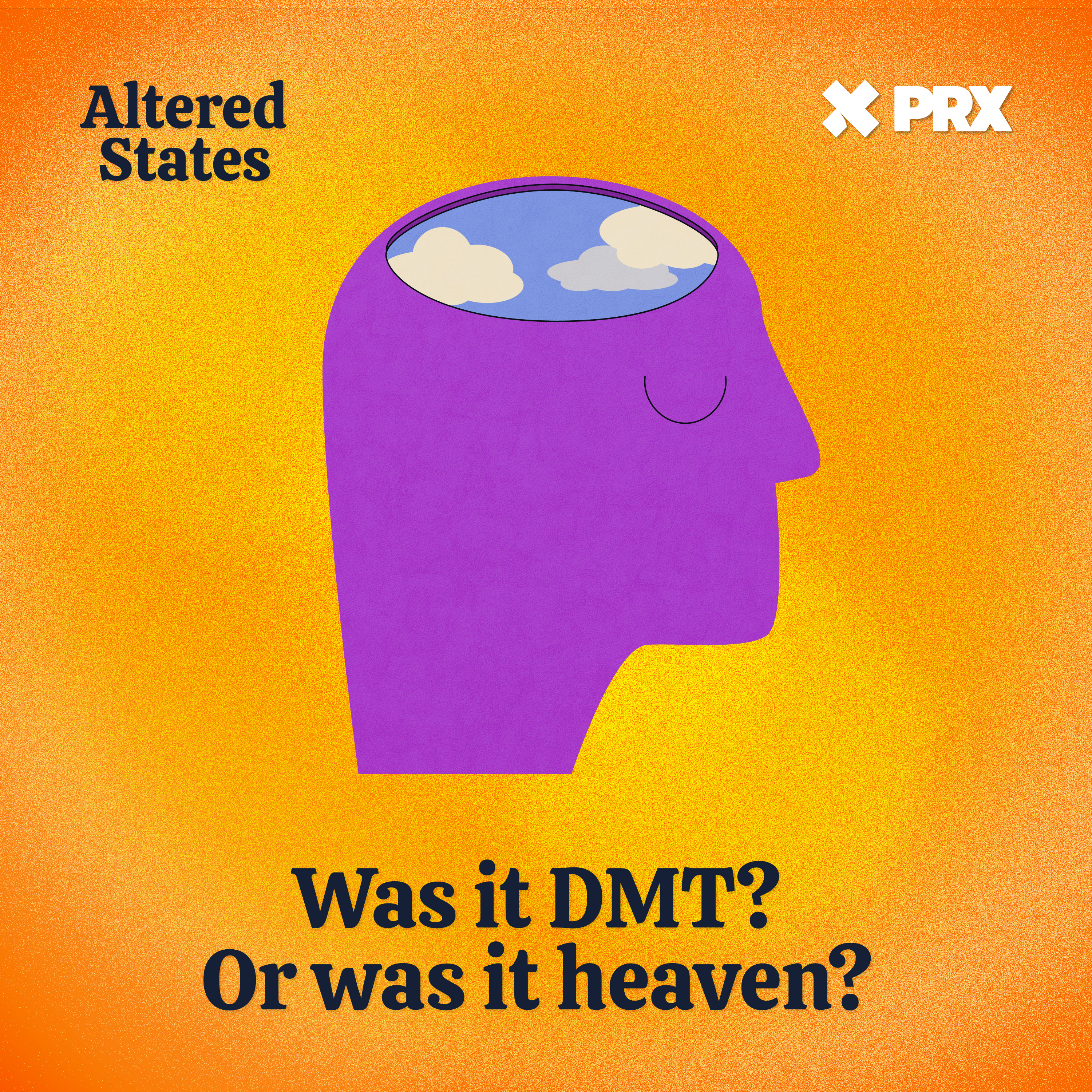 Was it DMT? Or was it heaven?