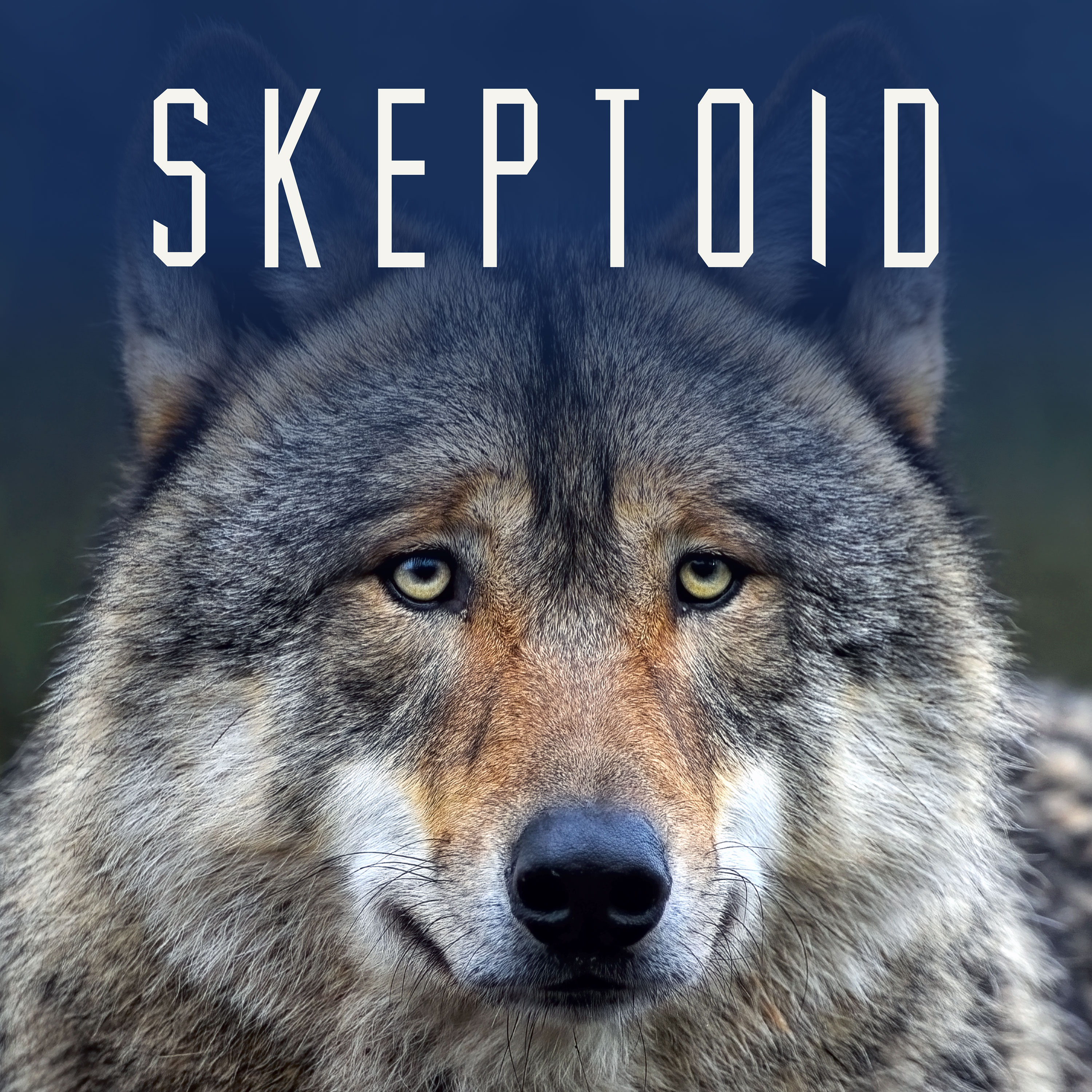 Skeptoid #1036: The Myth of the Alpha Wolf