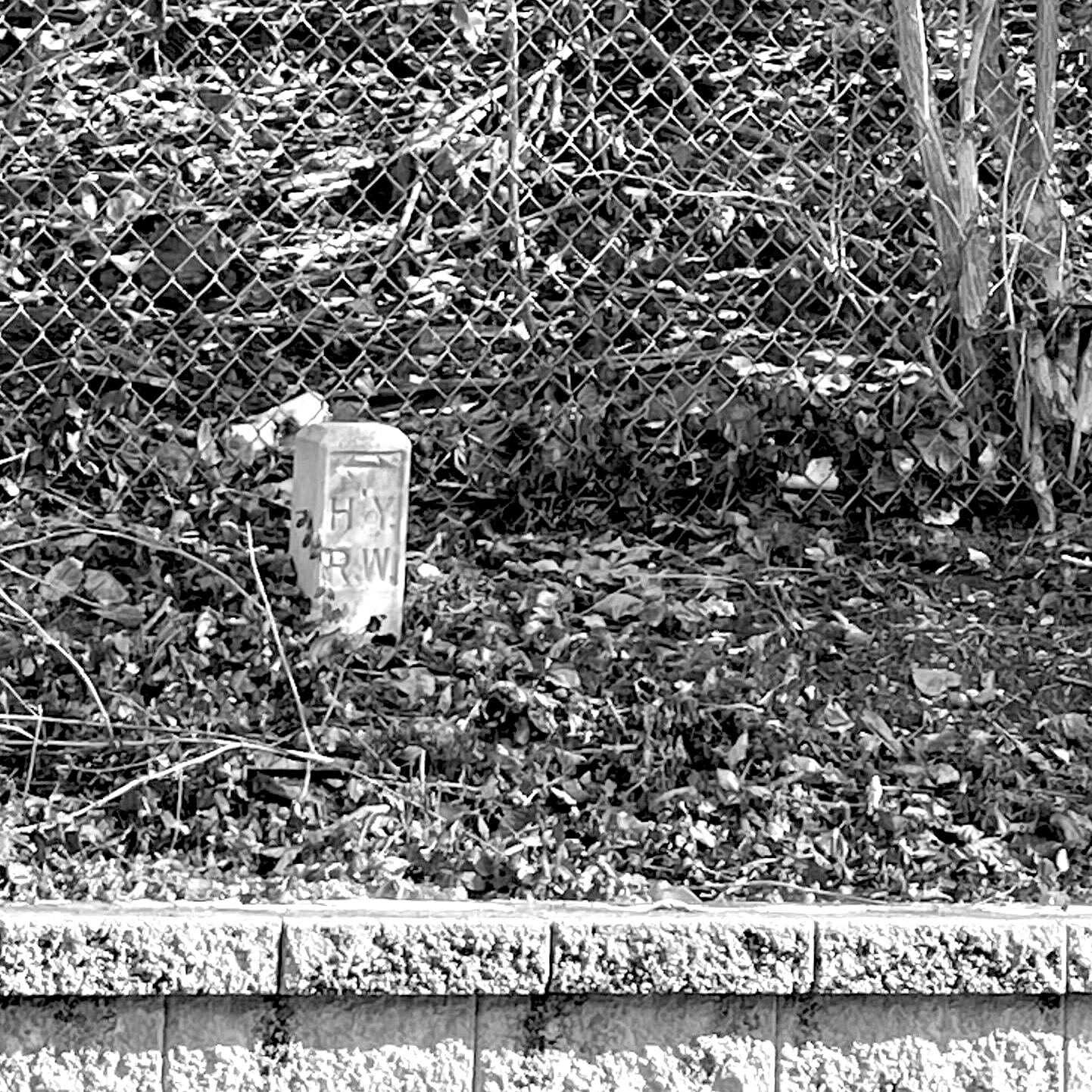 What’s with these cryptic cement markers around Tennessee? episode artwork