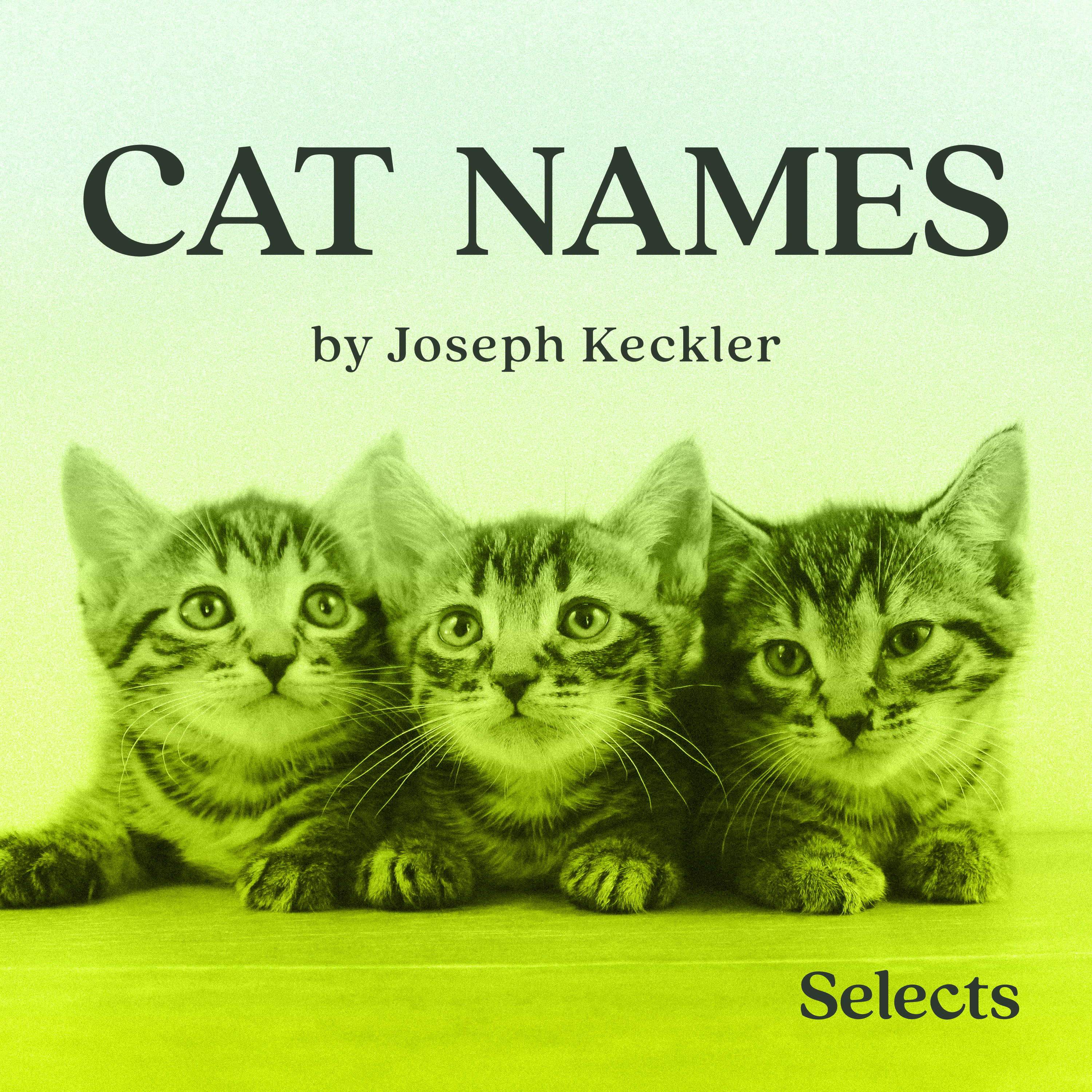 Cat Names by Joseph Keckler podcast tile