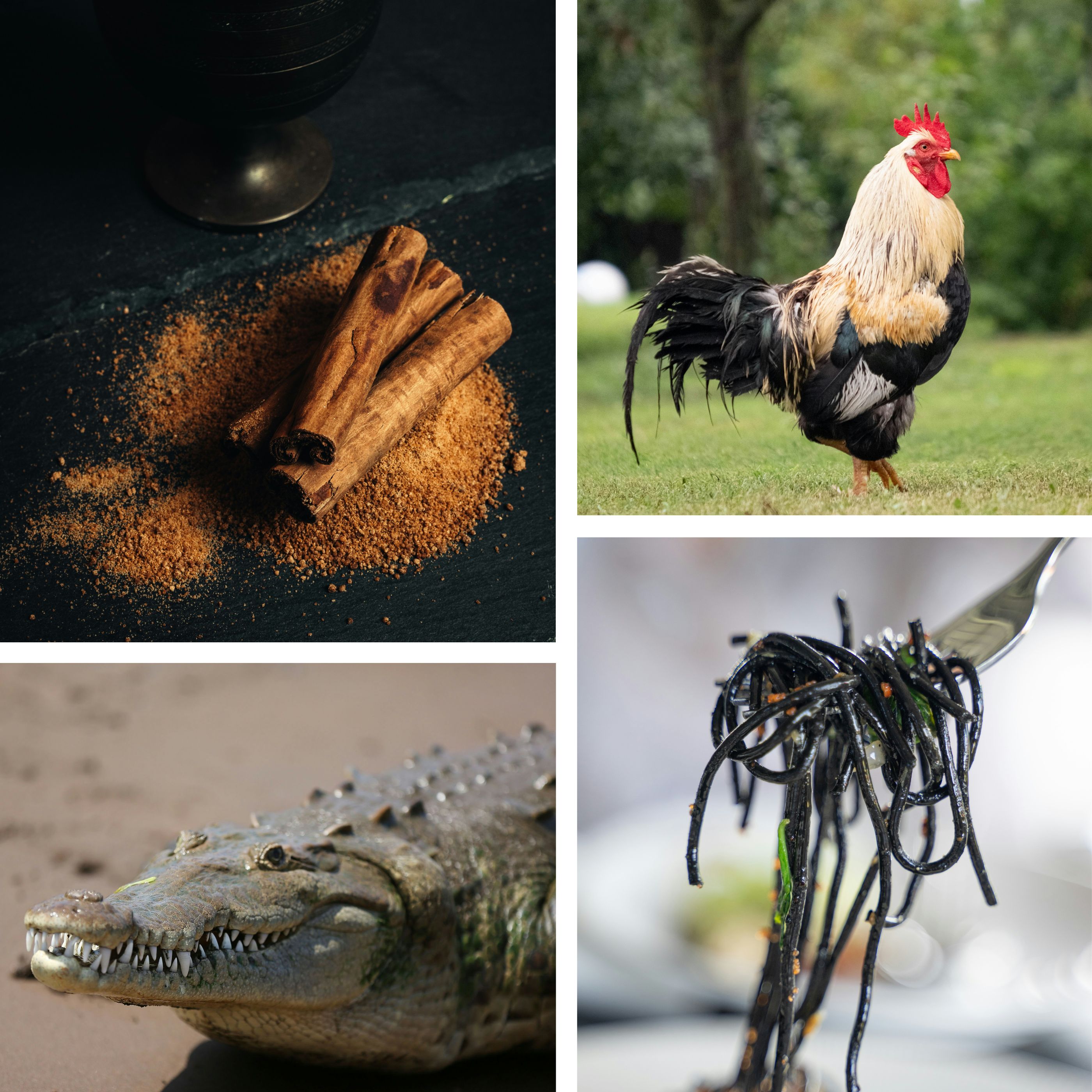 Best-Of Calls: Roosters, Alligators, and Leaf Lard episode artwork
