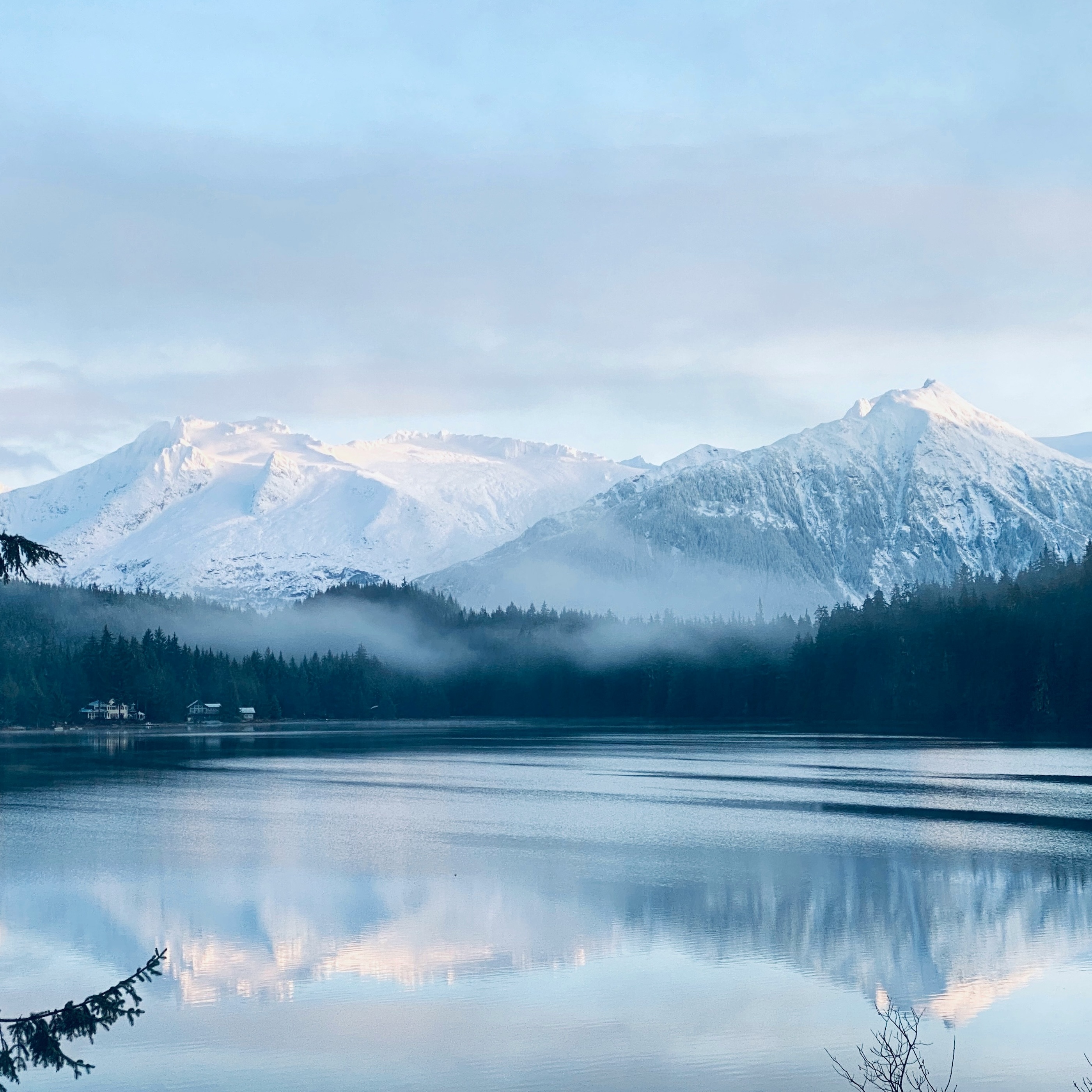 Moose and Cake Mix: Inside The Alaskan Diet