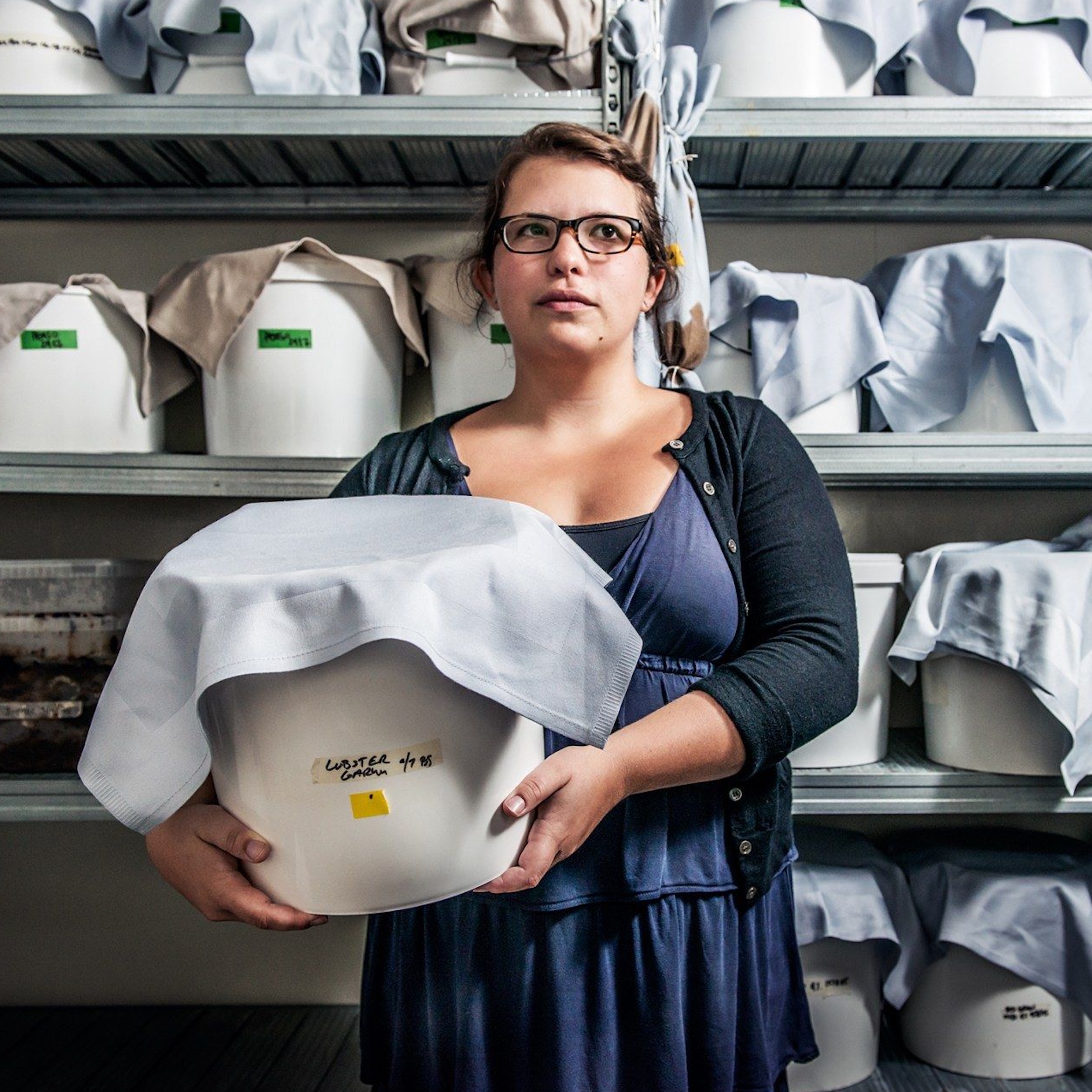 The Science of Food: Steaks, Bugs and Expiration Dates