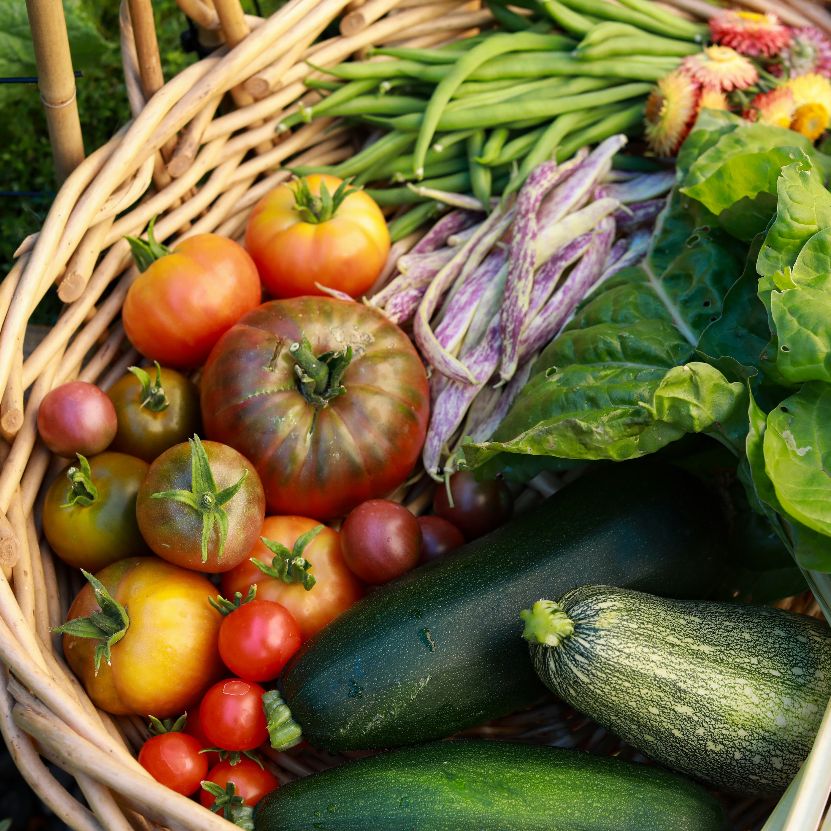 Best-Of Calls: Wax Peppers, Carrot Tops, and Wild Leeks