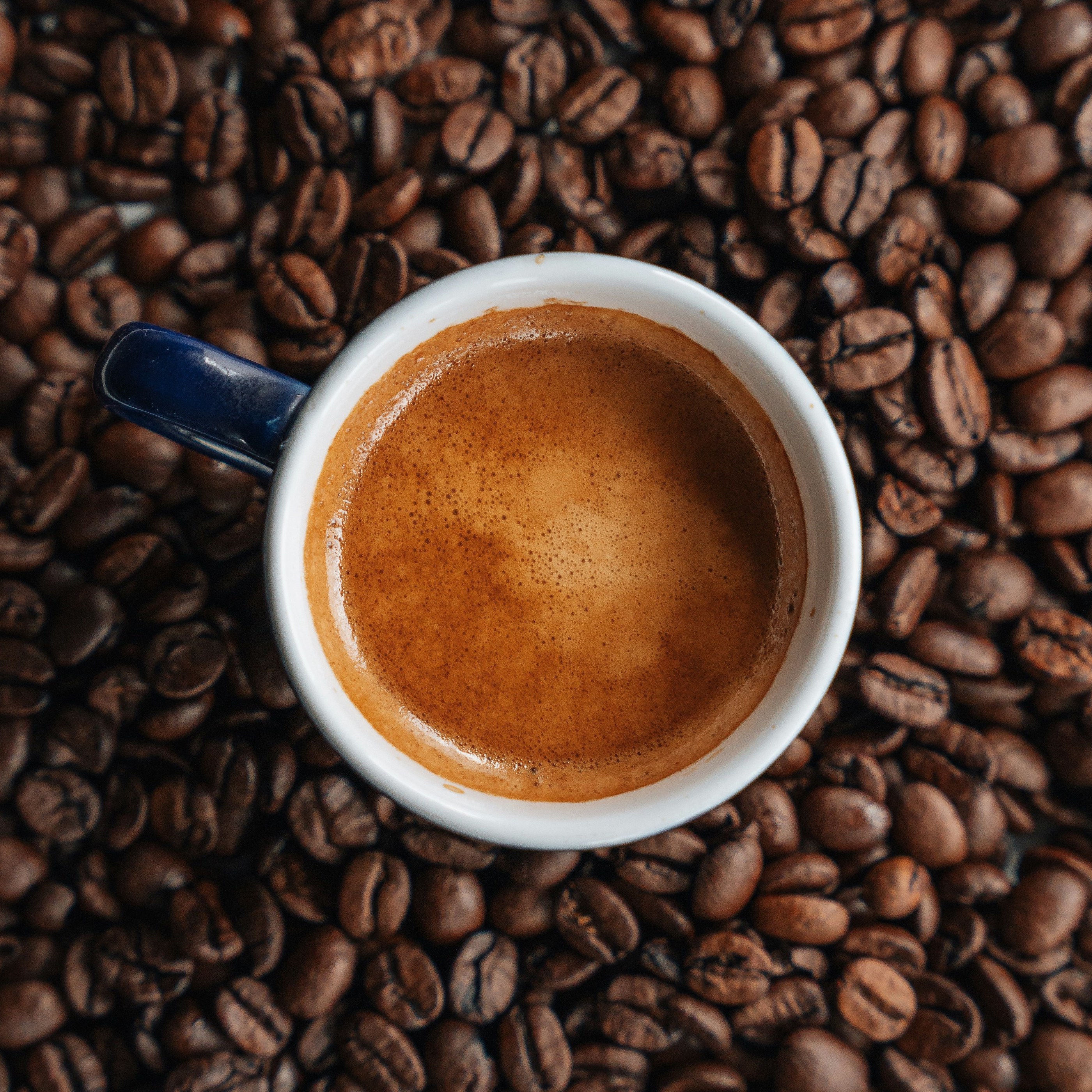 The Perfect Cup: Great Homemade Coffee with James Hoffmann