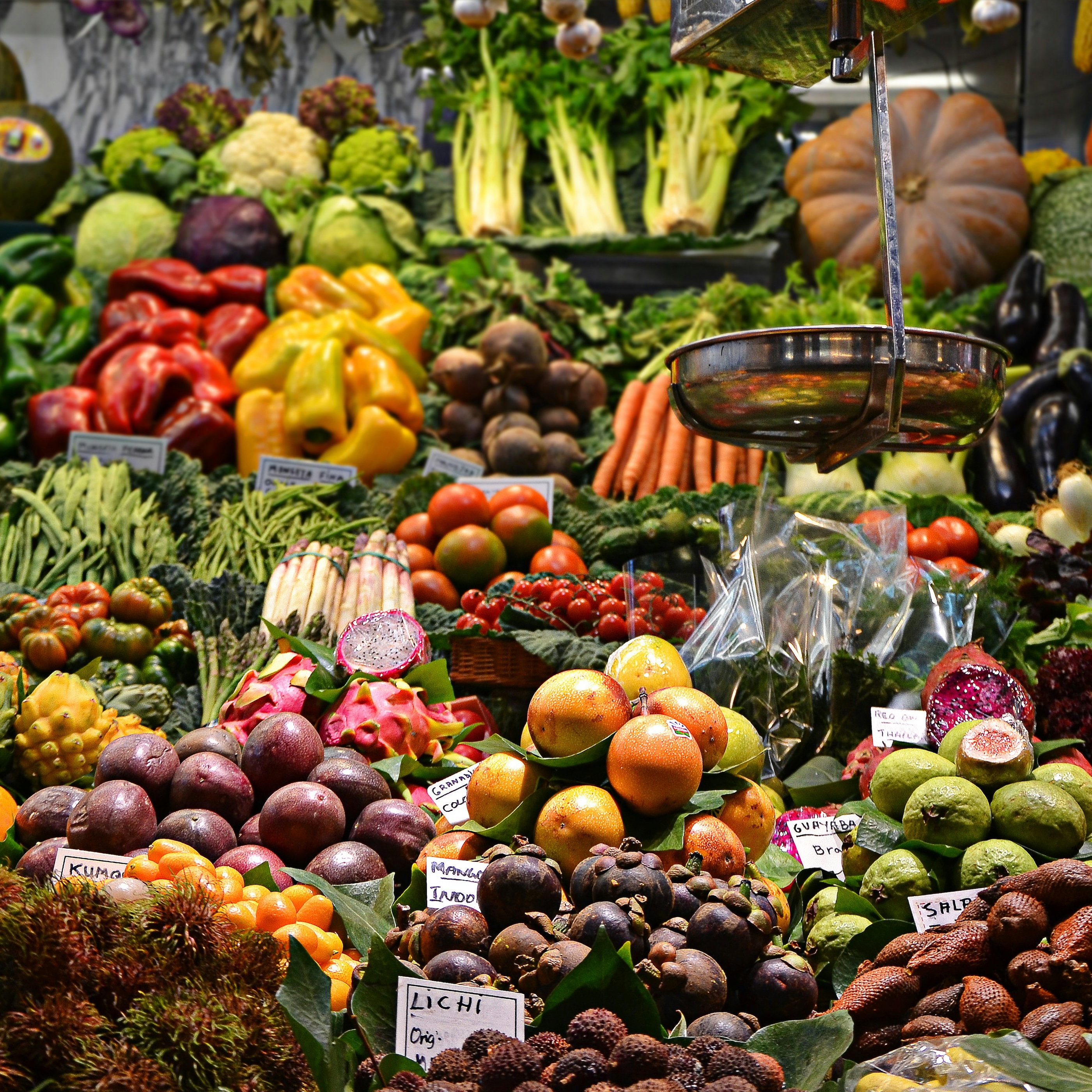 The Vegan Nightmare! Do Vegetables Have Souls?