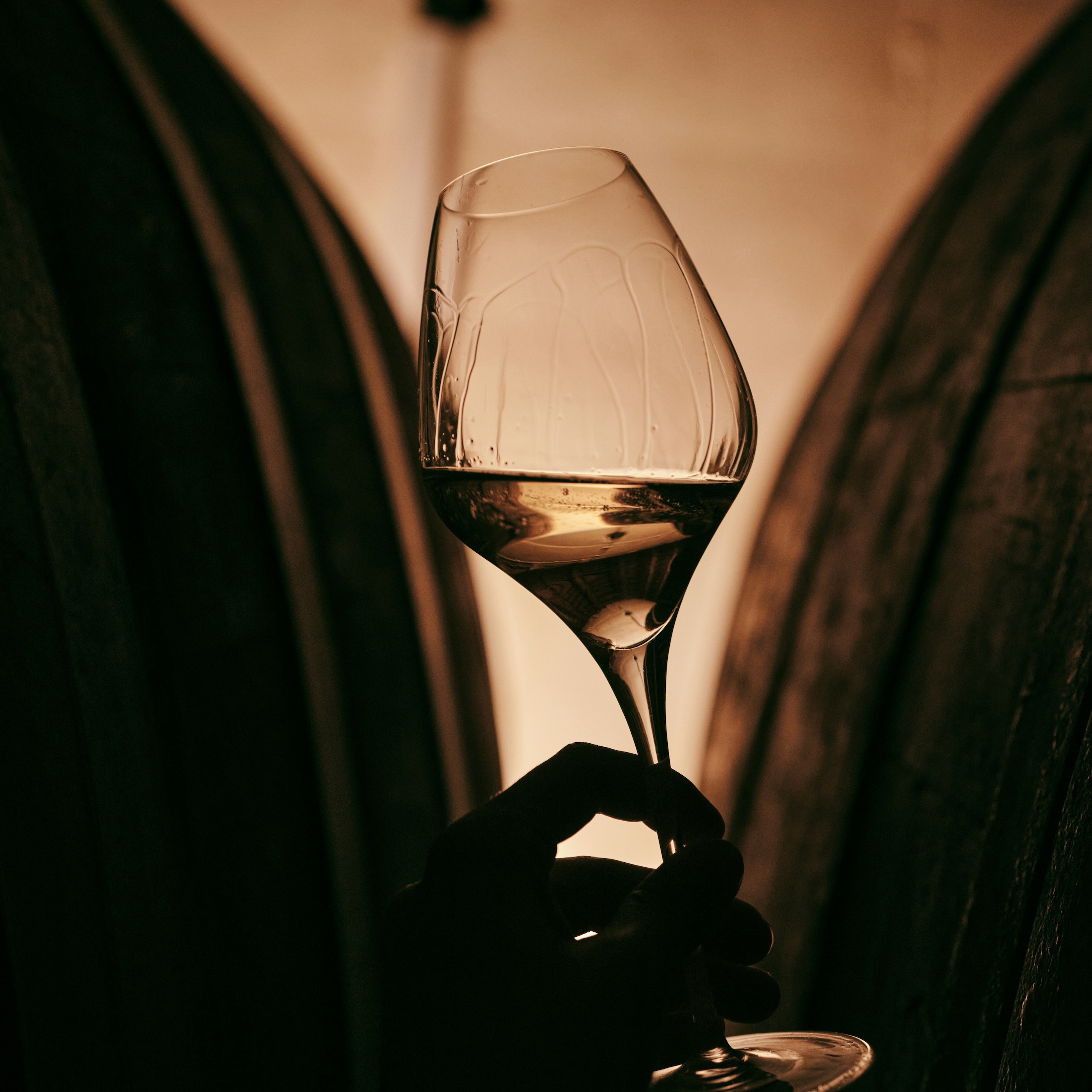 Cellar Rat: A Sommelier's Restaurant Confidential