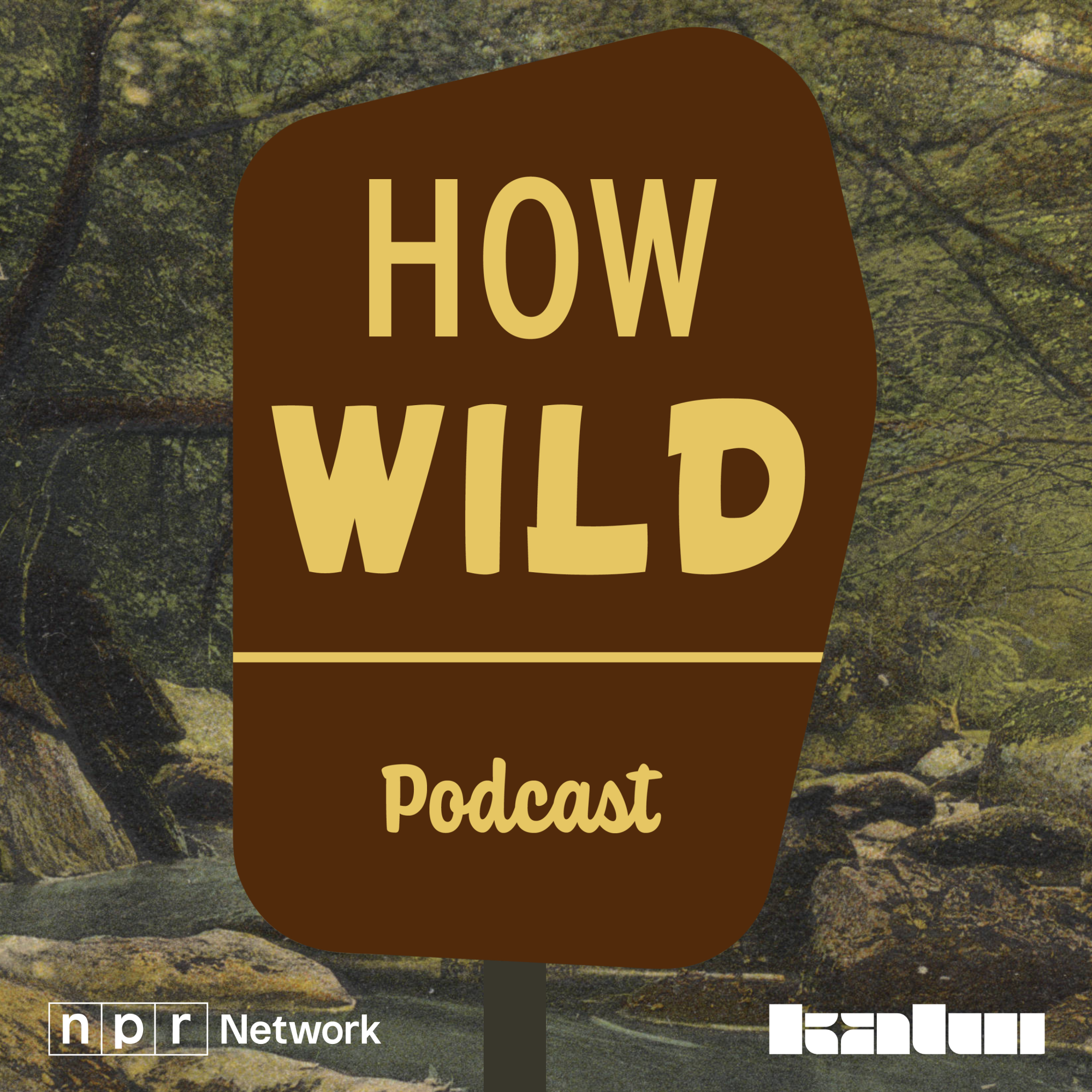 How Wild: Undeveloped / Project 2025 And Immigration episode artwork