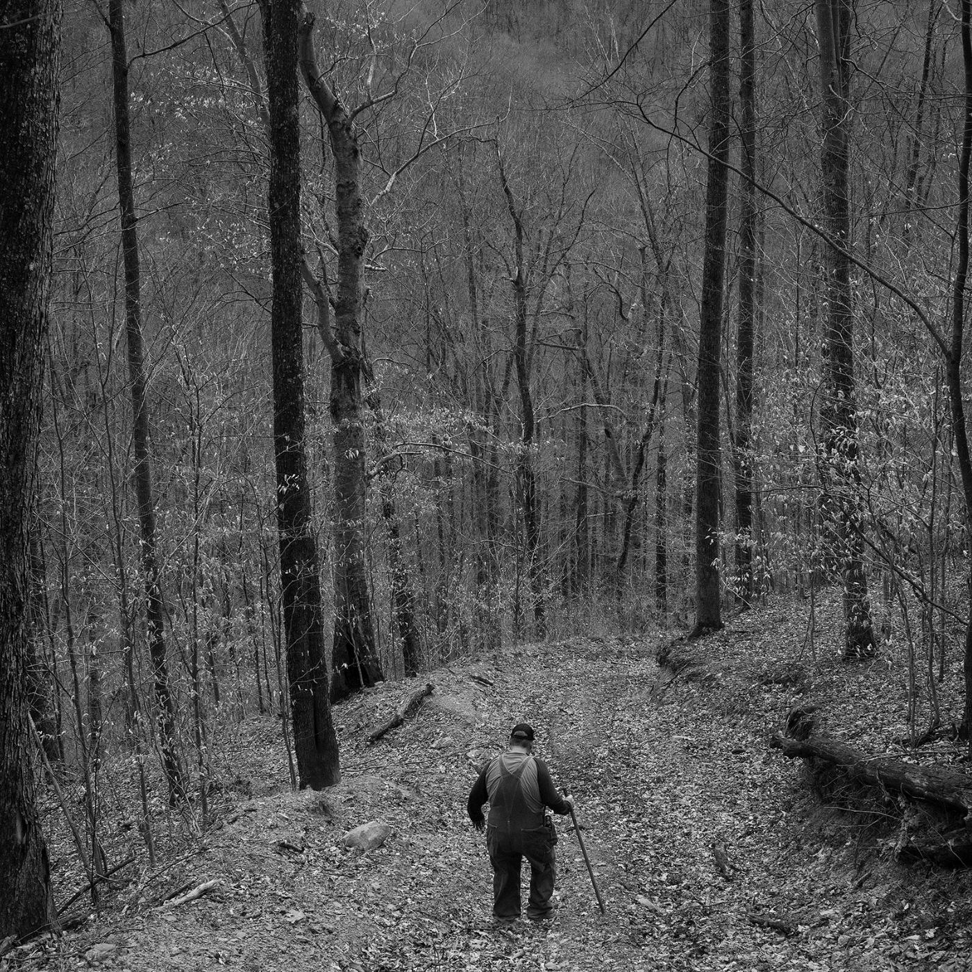 This Short Life This Short Life