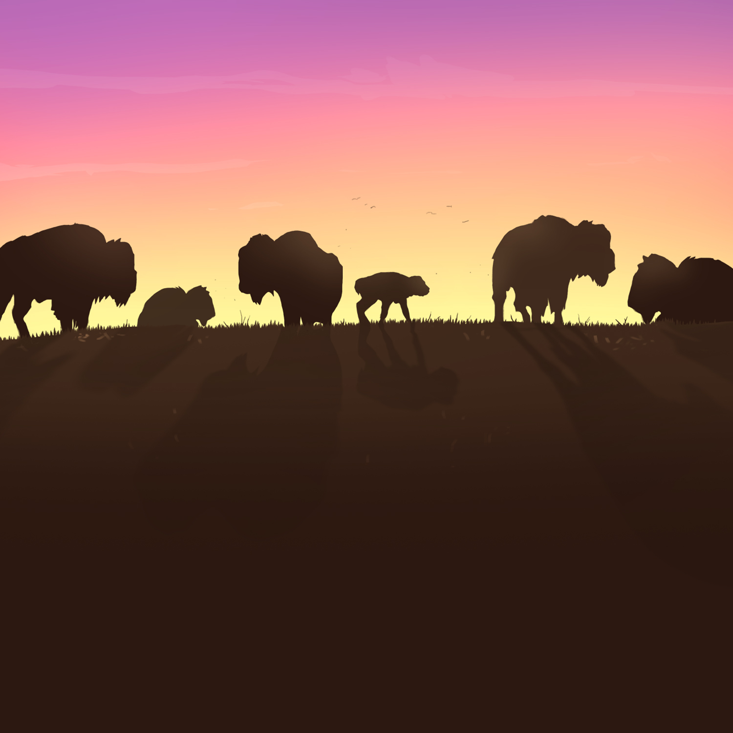 The Missing Bison