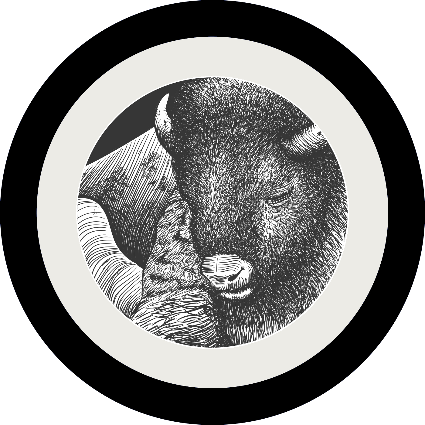 A Story and a Song (A Memory Palace/Song Exploder Crossover Event)